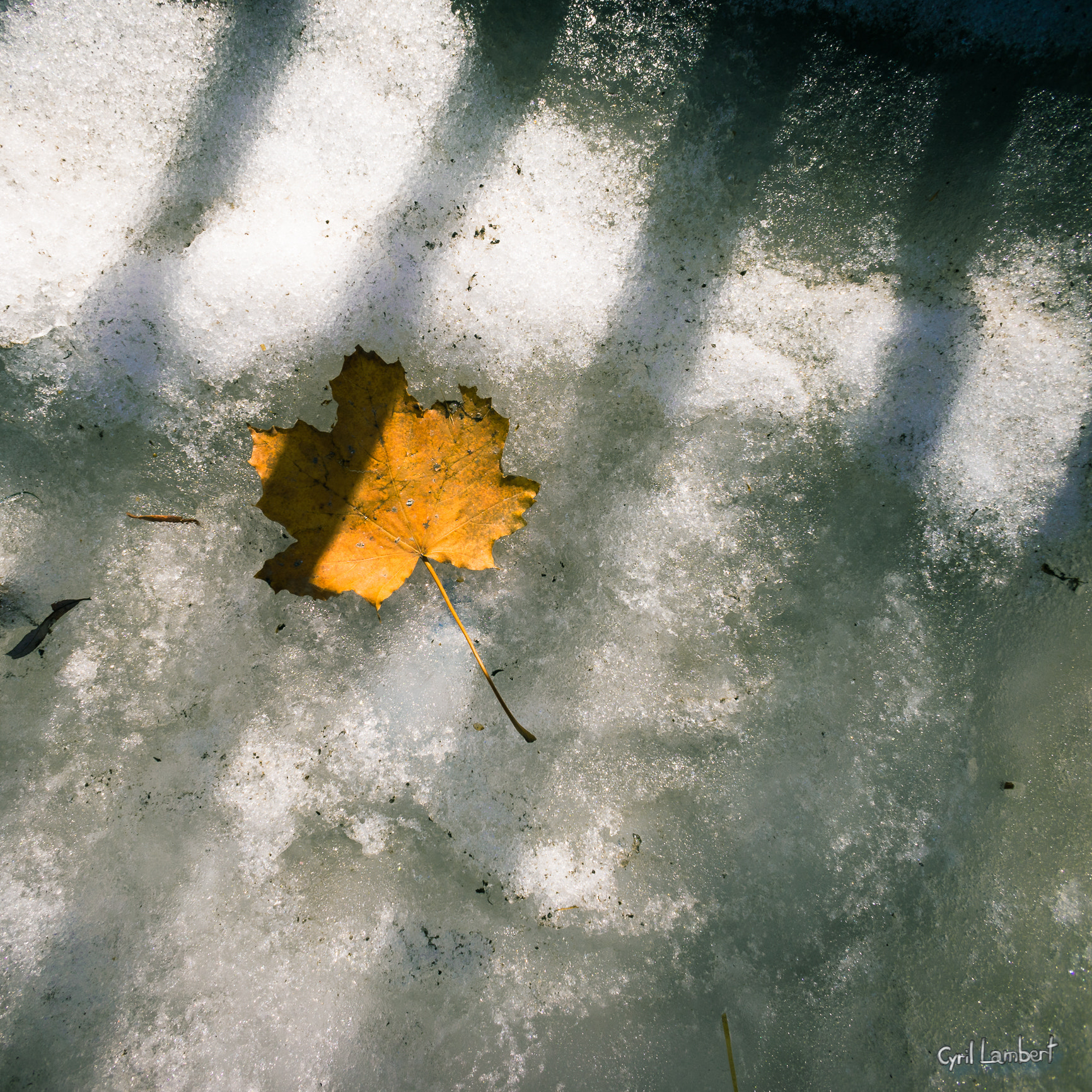 Sony a7 + Sony E 16mm F2.8 sample photo. Spring is coming photography