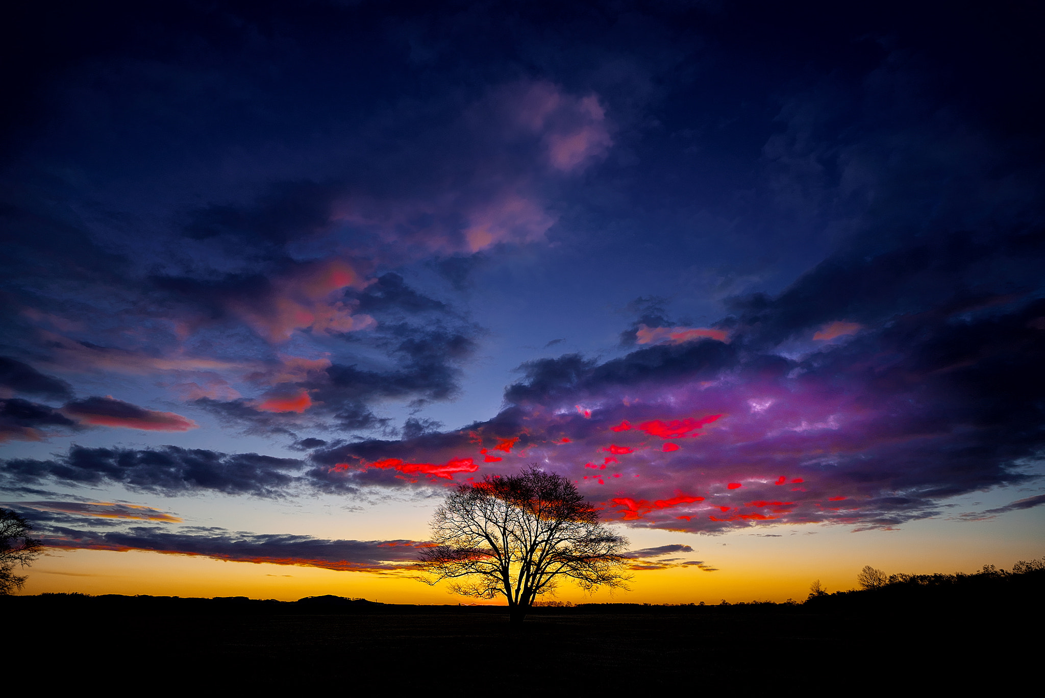 Sony a7S + Sony Vario-Sonnar T* 16-35mm F2.8 ZA SSM sample photo. Dragon head photography