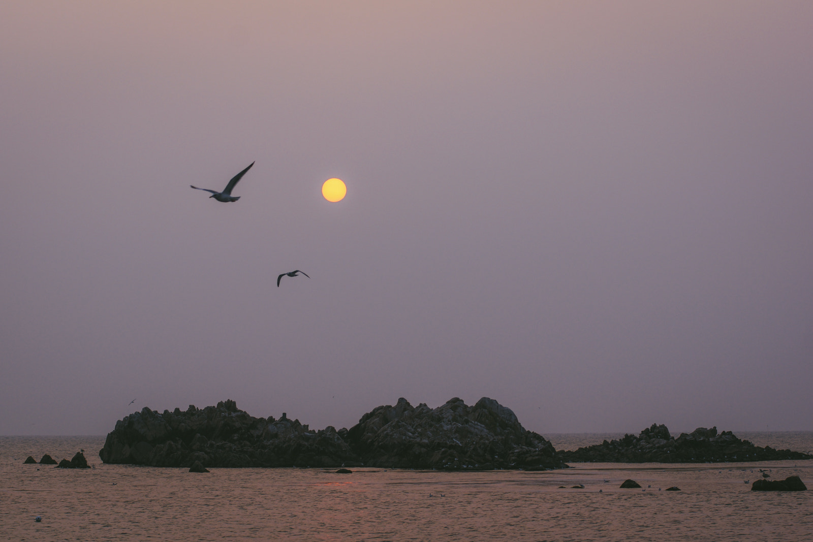 Sony SLT-A77 + Minolta AF 70-210mm F4 Macro sample photo. Sun rise photography