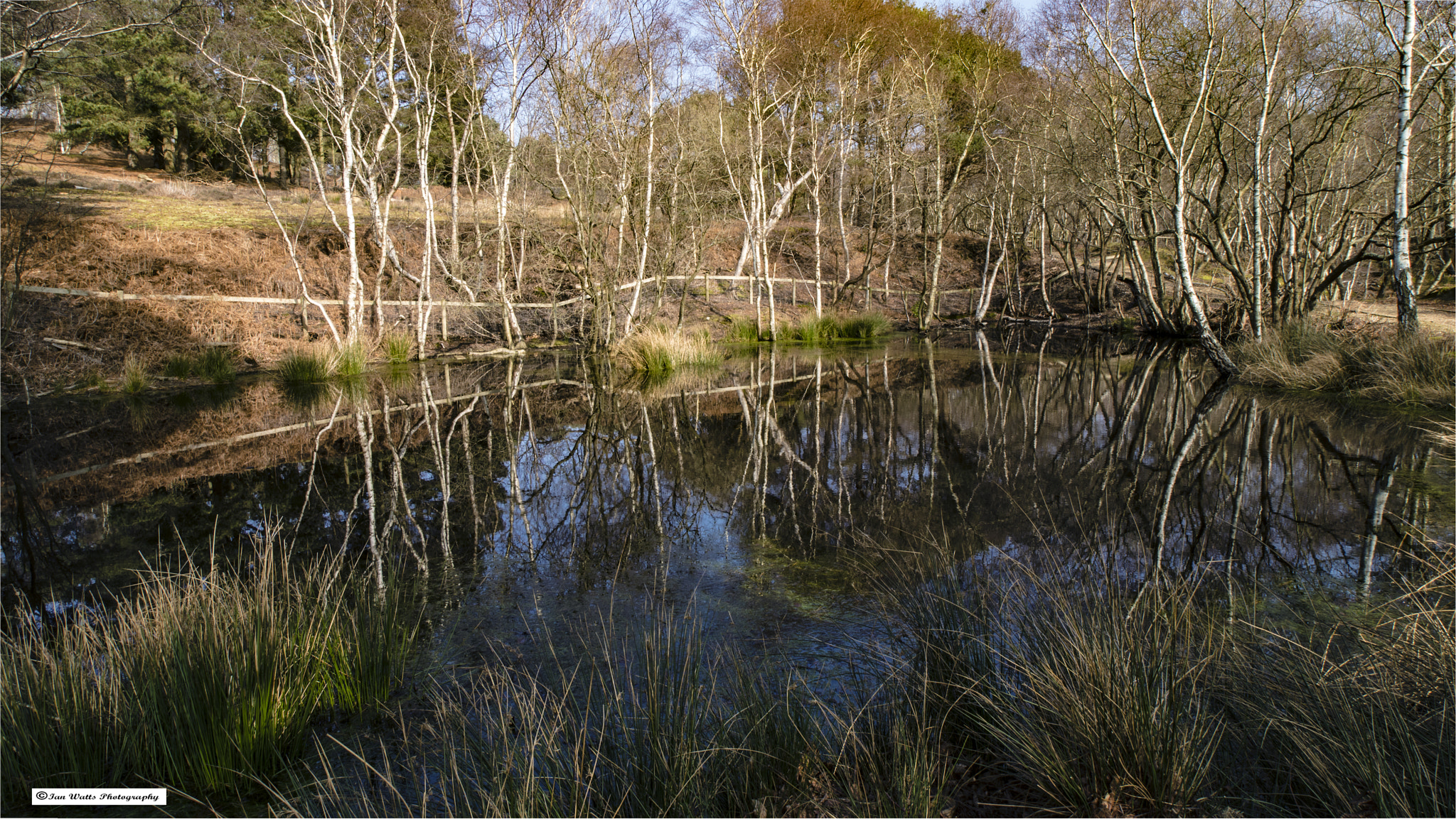 Canon EF-S 10-18mm F4.5–5.6 IS STM sample photo. Reflections in the pond photography