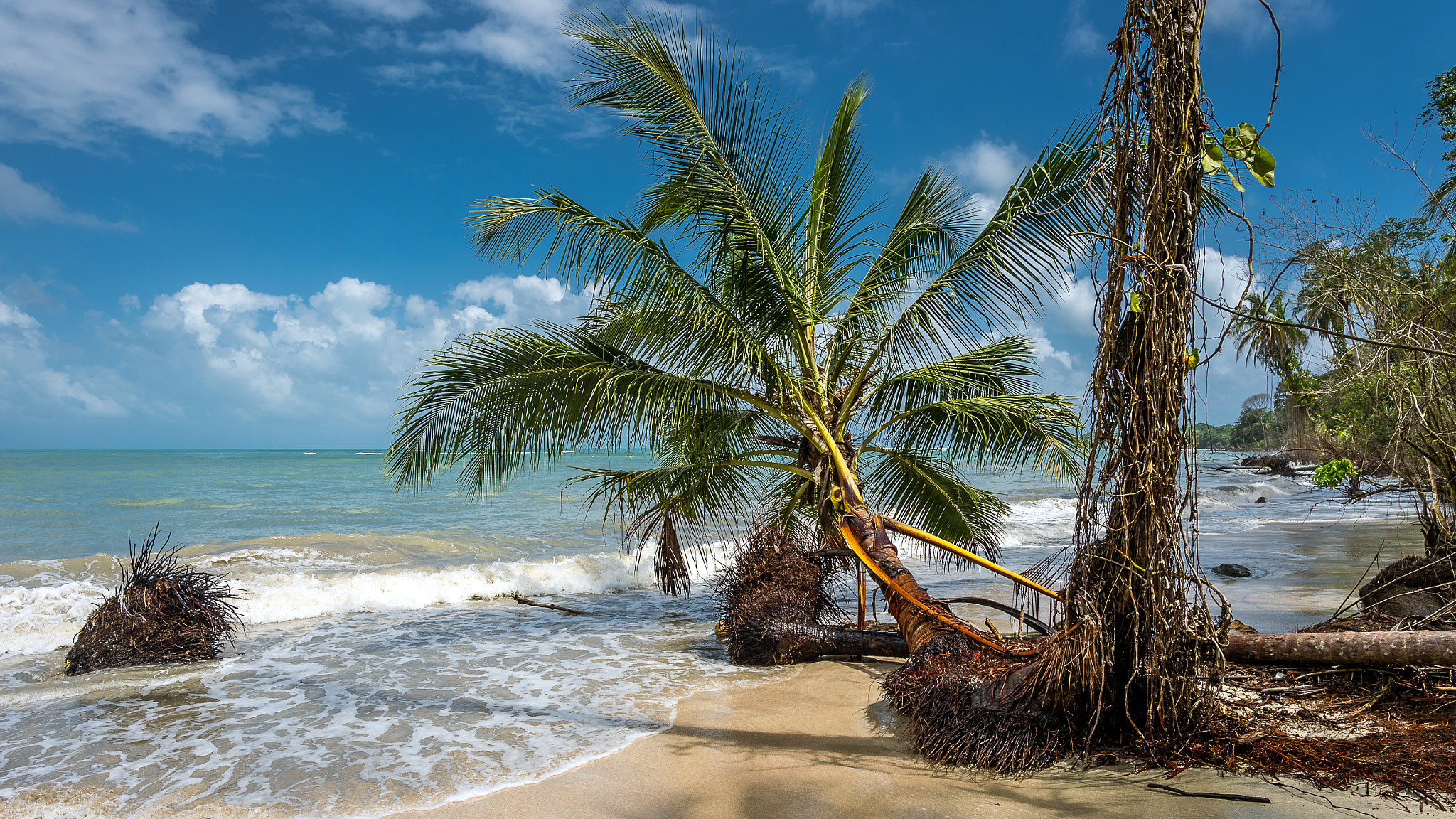 Nikon D4 + Nikon AF-S Nikkor 20mm F1.8G ED sample photo. Summertime in costa rica photography