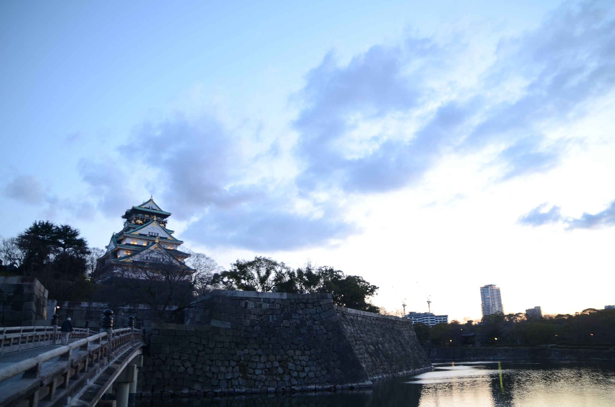 Sigma 17-70mm F2.8-4.5 DC Macro Asp. IF sample photo. Castle osaka photography