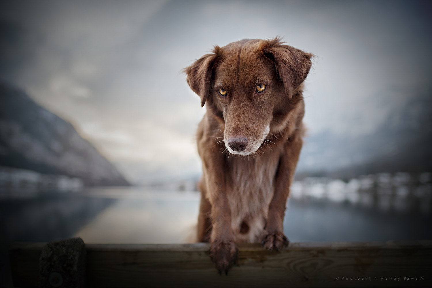 Nikon D750 + AF-S Nikkor 35mm f/1.8G sample photo. Finn photography