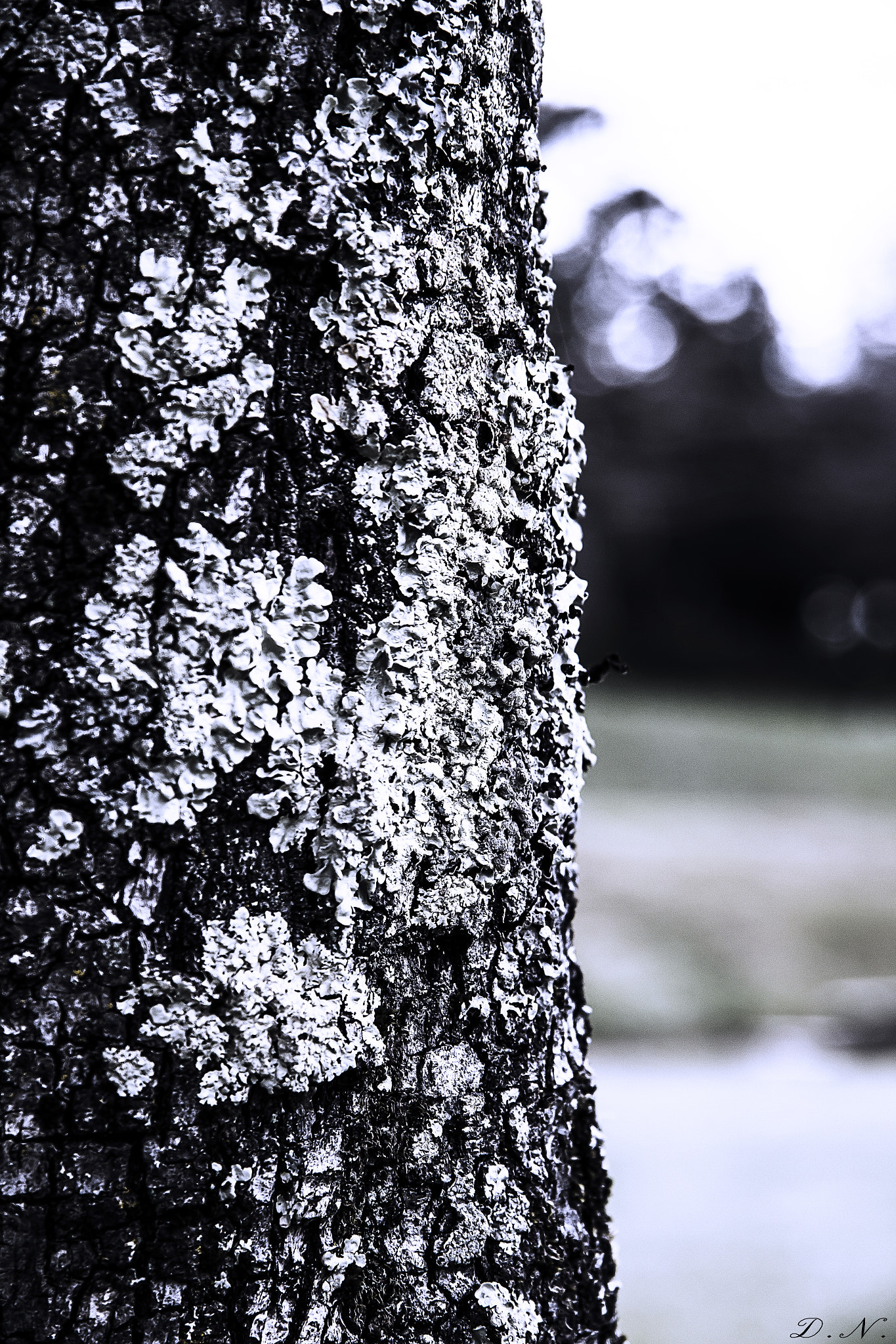 Canon EF-S 17-85mm F4-5.6 IS USM sample photo. Nature is groving up! photography