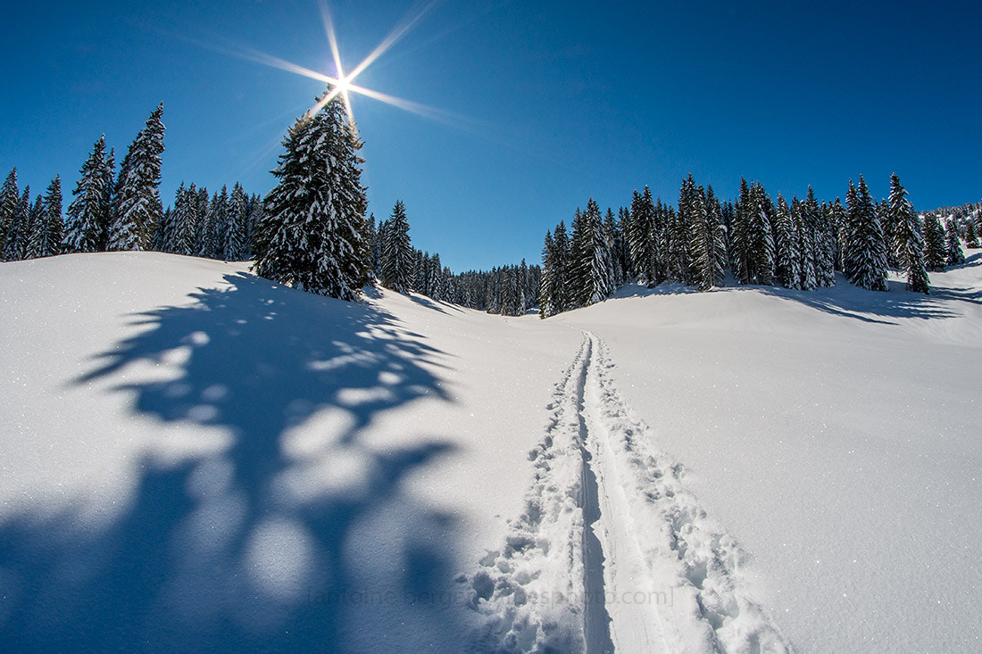 Nikon D800 + Samyang 8mm F3.5 Aspherical IF MC Fisheye sample photo. Skiing is my therapy photography