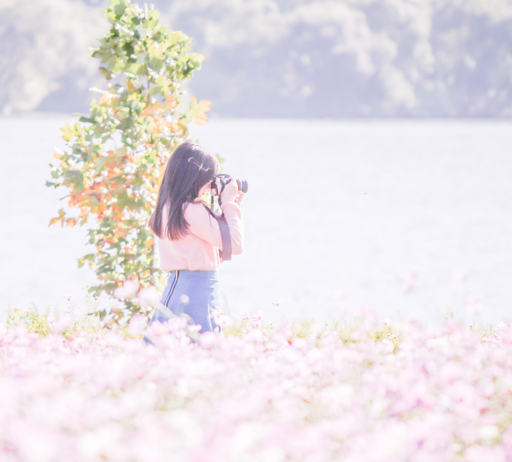 Canon EF-S 55-250mm F4-5.6 IS II sample photo