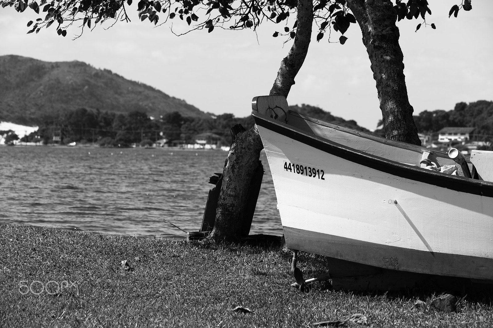 Sigma APO Macro 150mm f/2.8 EX DG HSM sample photo. Boat in the grass to the lake's edge photography