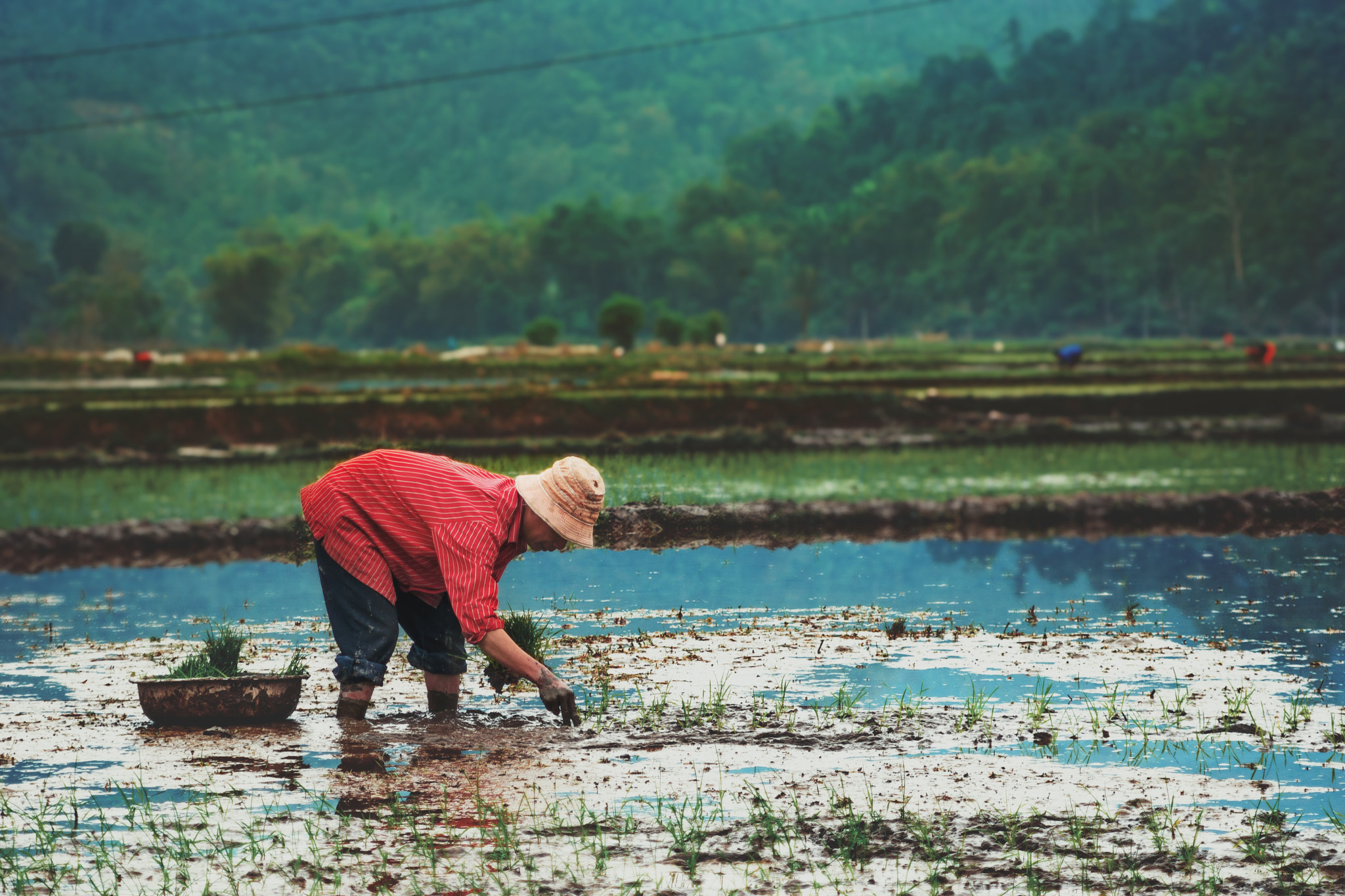 AF Zoom-Nikkor 35-135mm f/3.5-4.5 N sample photo. Farming photography