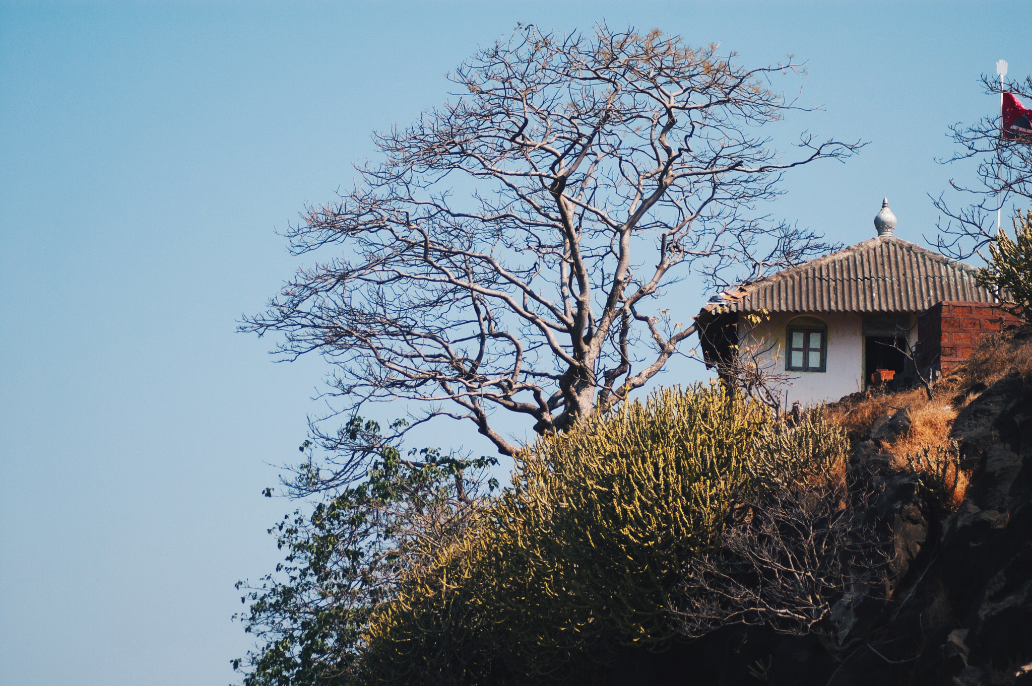 Nikon D40 sample photo. Home sweet home photography