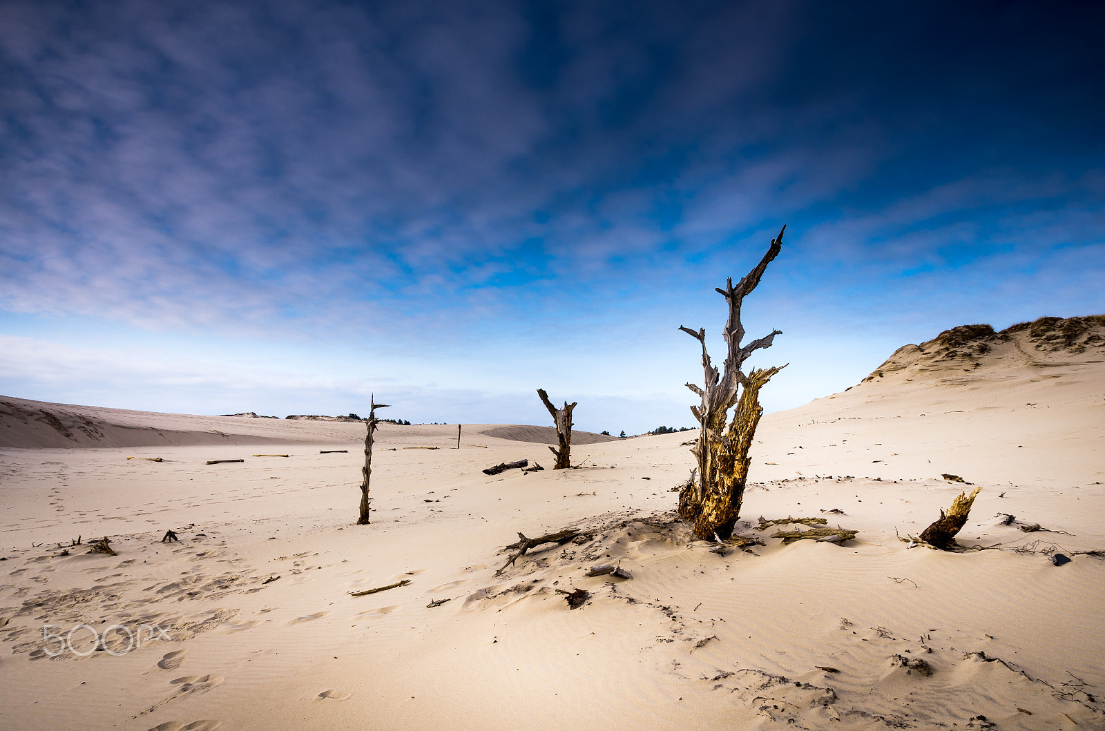 Sigma 17-50mm F2.8 EX DC HSM sample photo. Moving dunes photography