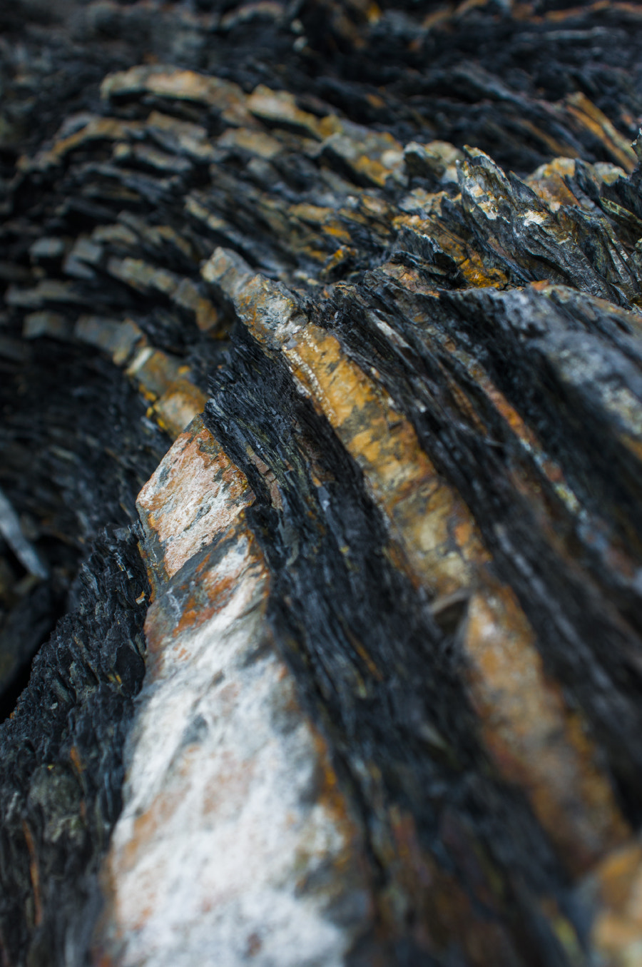 AF Zoom-Nikkor 28-85mm f/3.5-4.5 sample photo. Pressure photography
