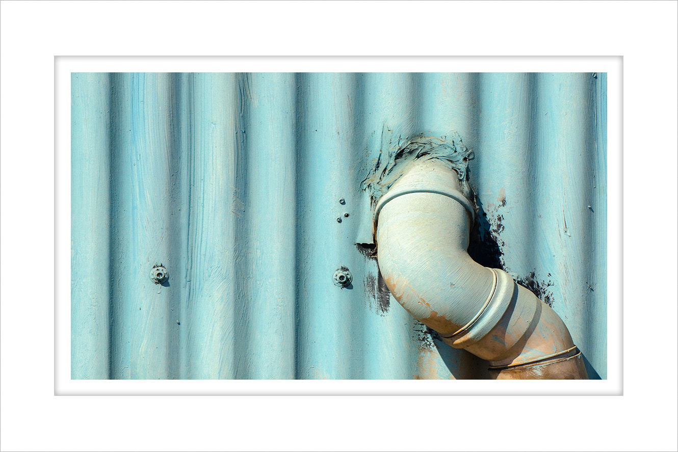 AF Zoom-Nikkor 28-80mm f/3.3-5.6G sample photo. Mc photography