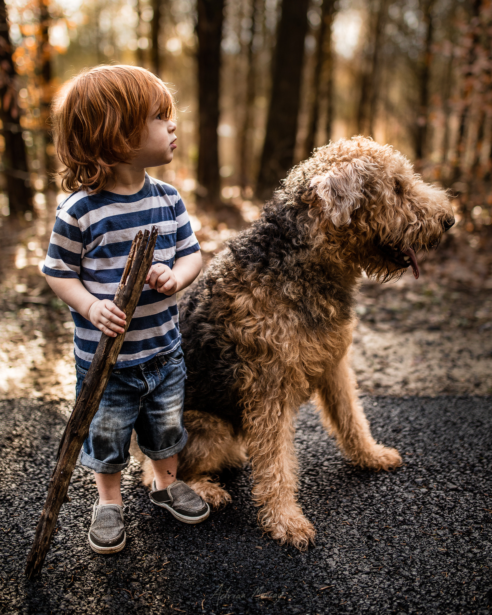 Sigma 35mm F1.4 DG HSM Art sample photo. Walking together photography
