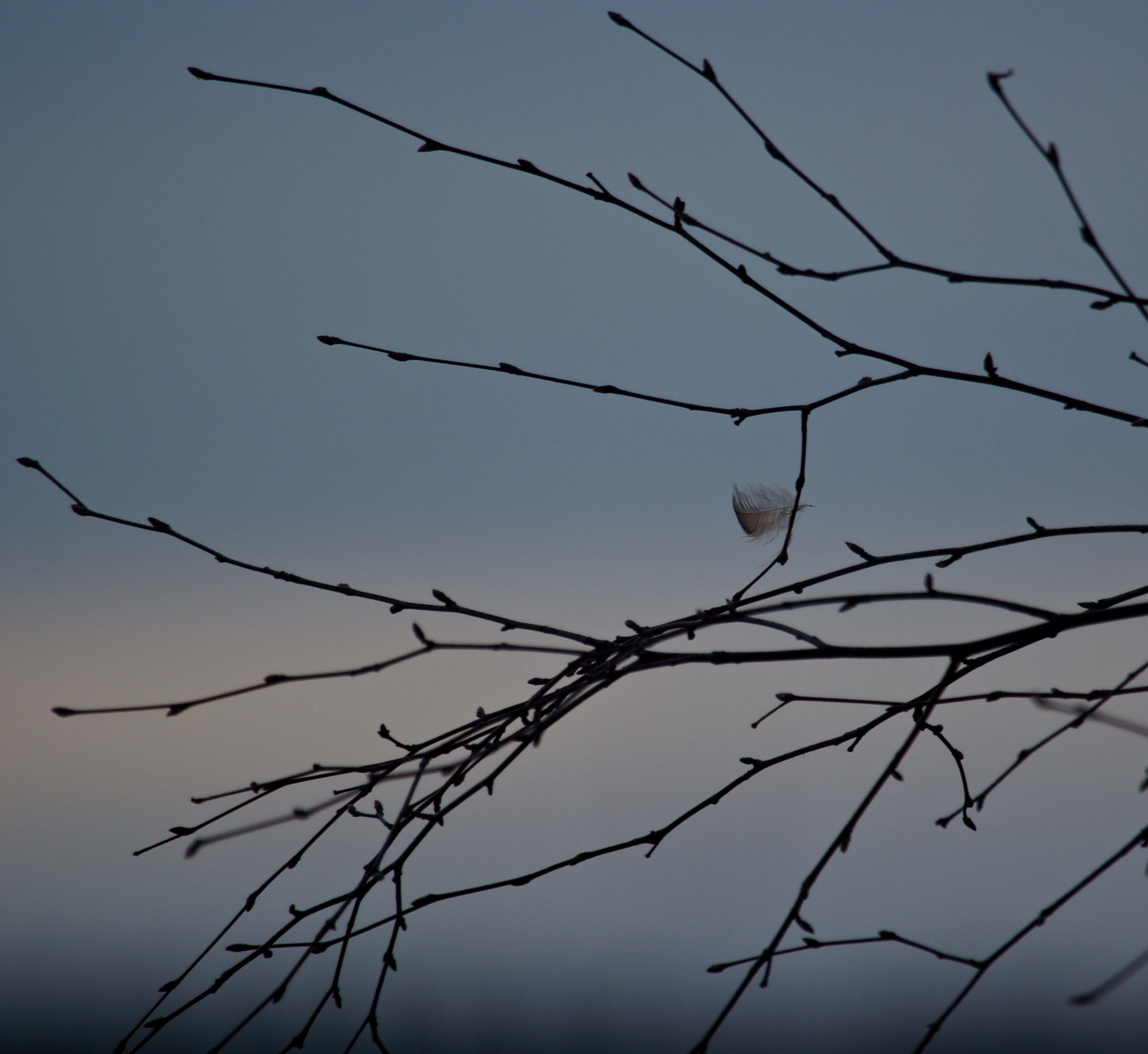 Canon EF 100-400mm F4.5-5.6L IS USM sample photo. Part missing:) photography