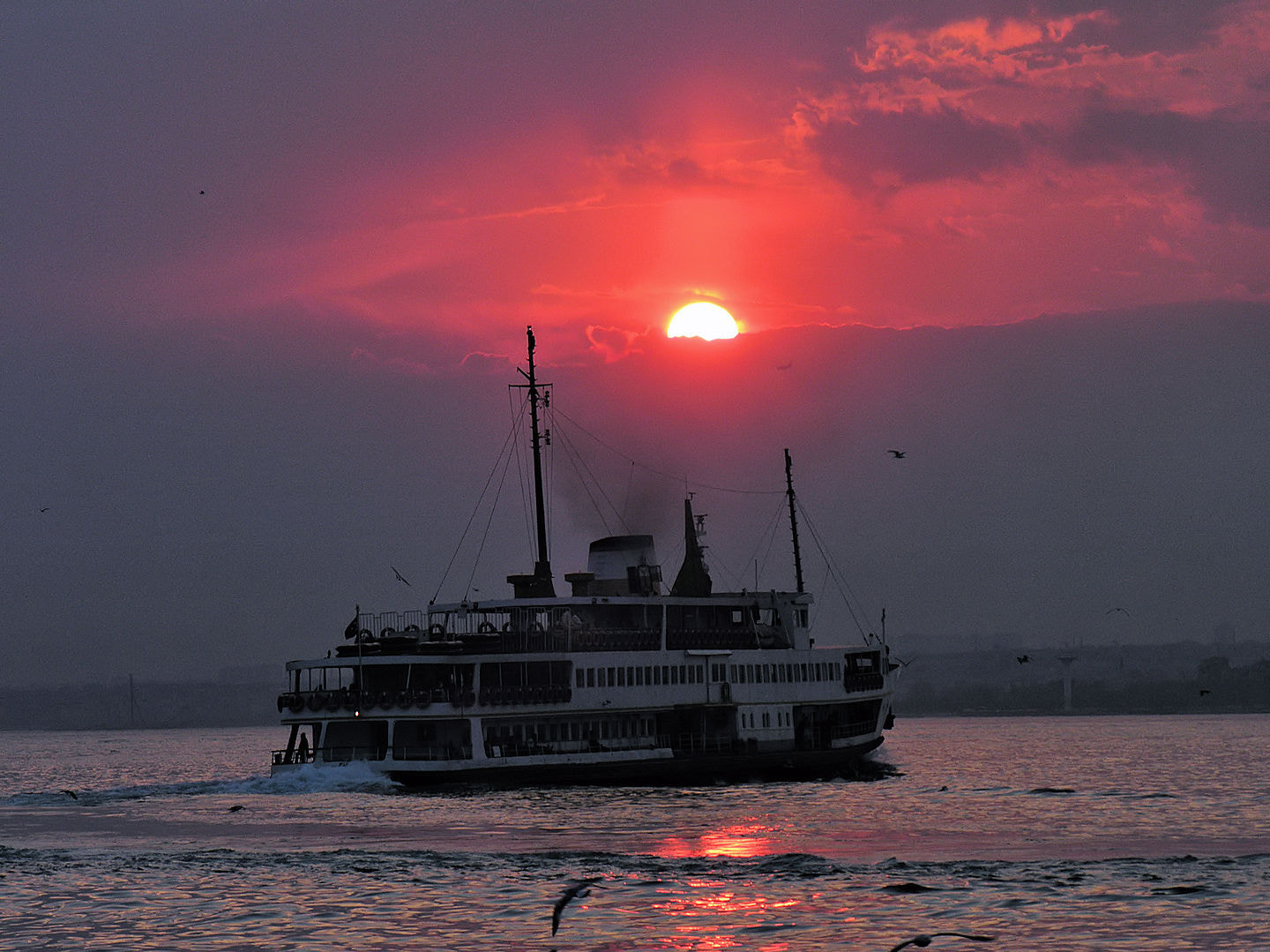 Nikon E8800 sample photo. Istanbul ferry at sunset photography