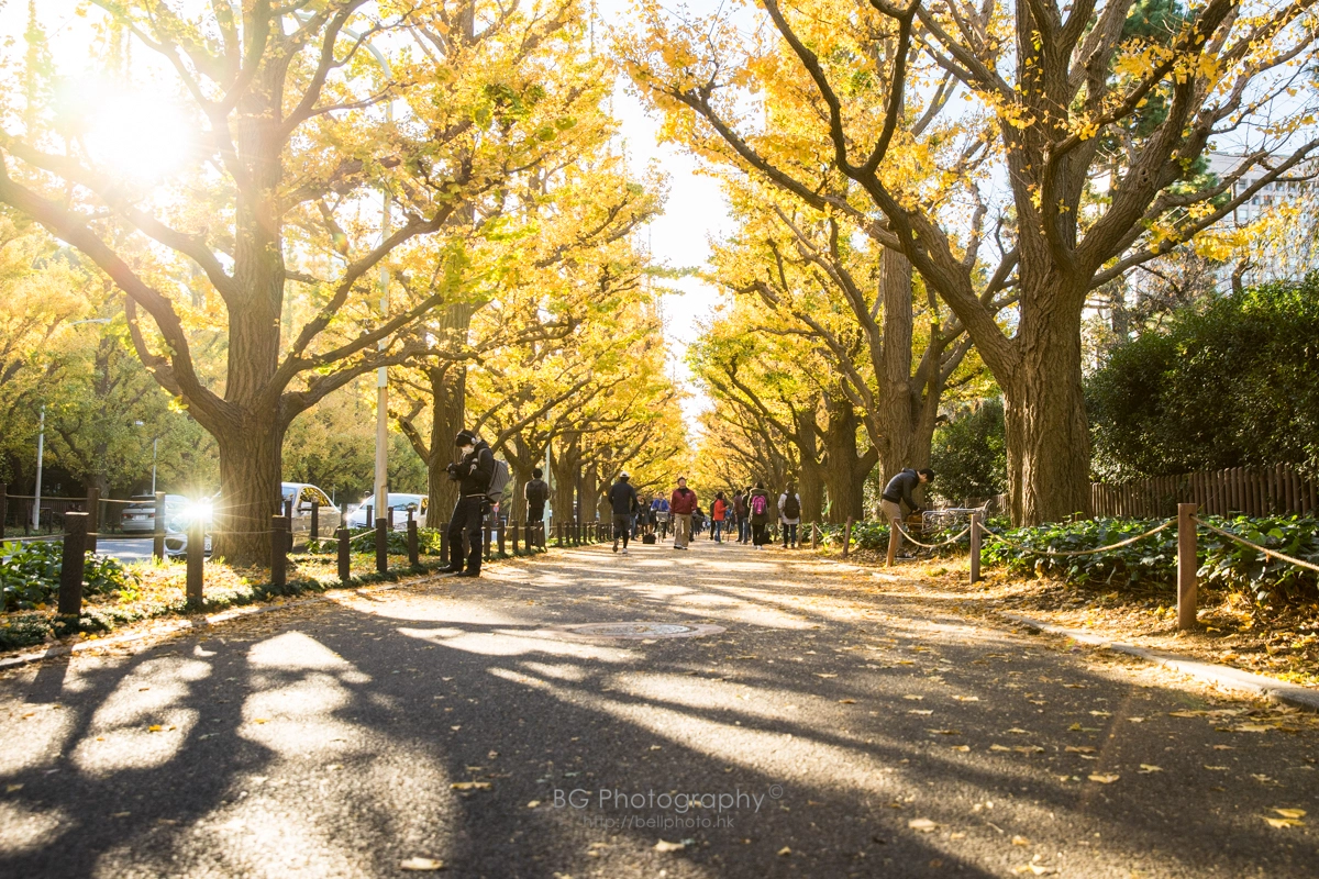 Sony a7 + Canon EF 85mm F1.2L II USM sample photo. Light & shadow. photography