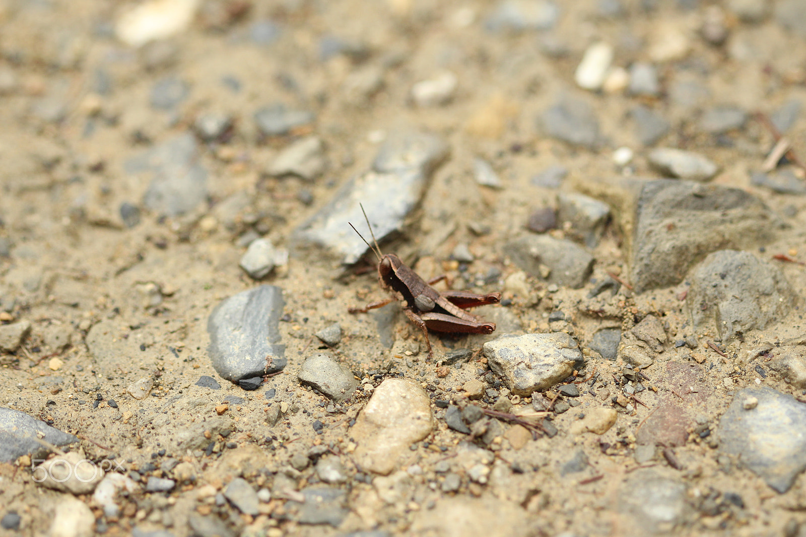 Canon EF 100mm F2.8 Macro USM sample photo