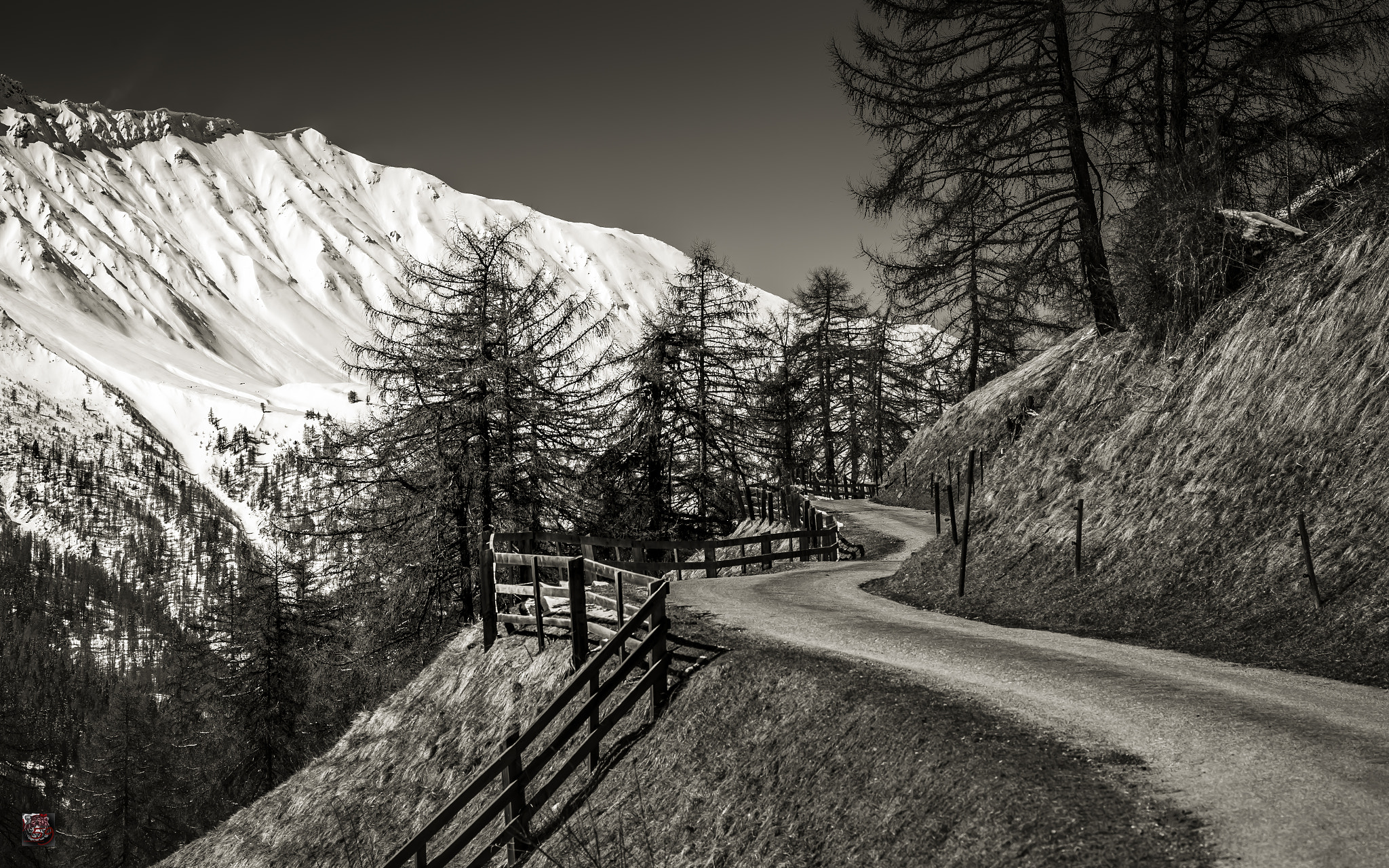 Leica APO-Summicron-M 90mm F2 ASPH sample photo. Val müstair: walking through the valley - opens the mind! photography