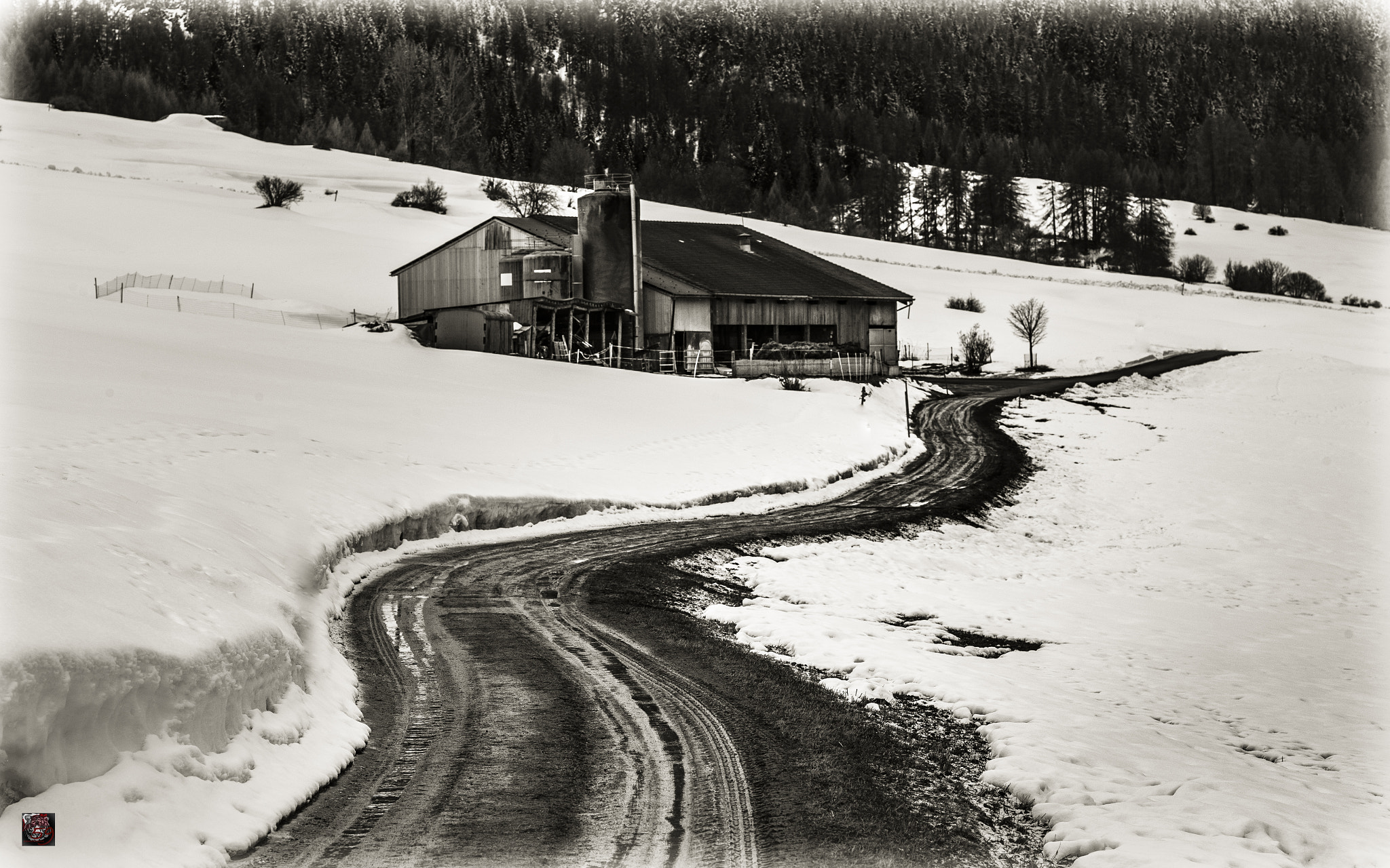 Leica M9 + Leica APO-Summicron-M 90mm F2 ASPH sample photo. Val müstair: walking through the valley - alpine farming 1 (3) photography