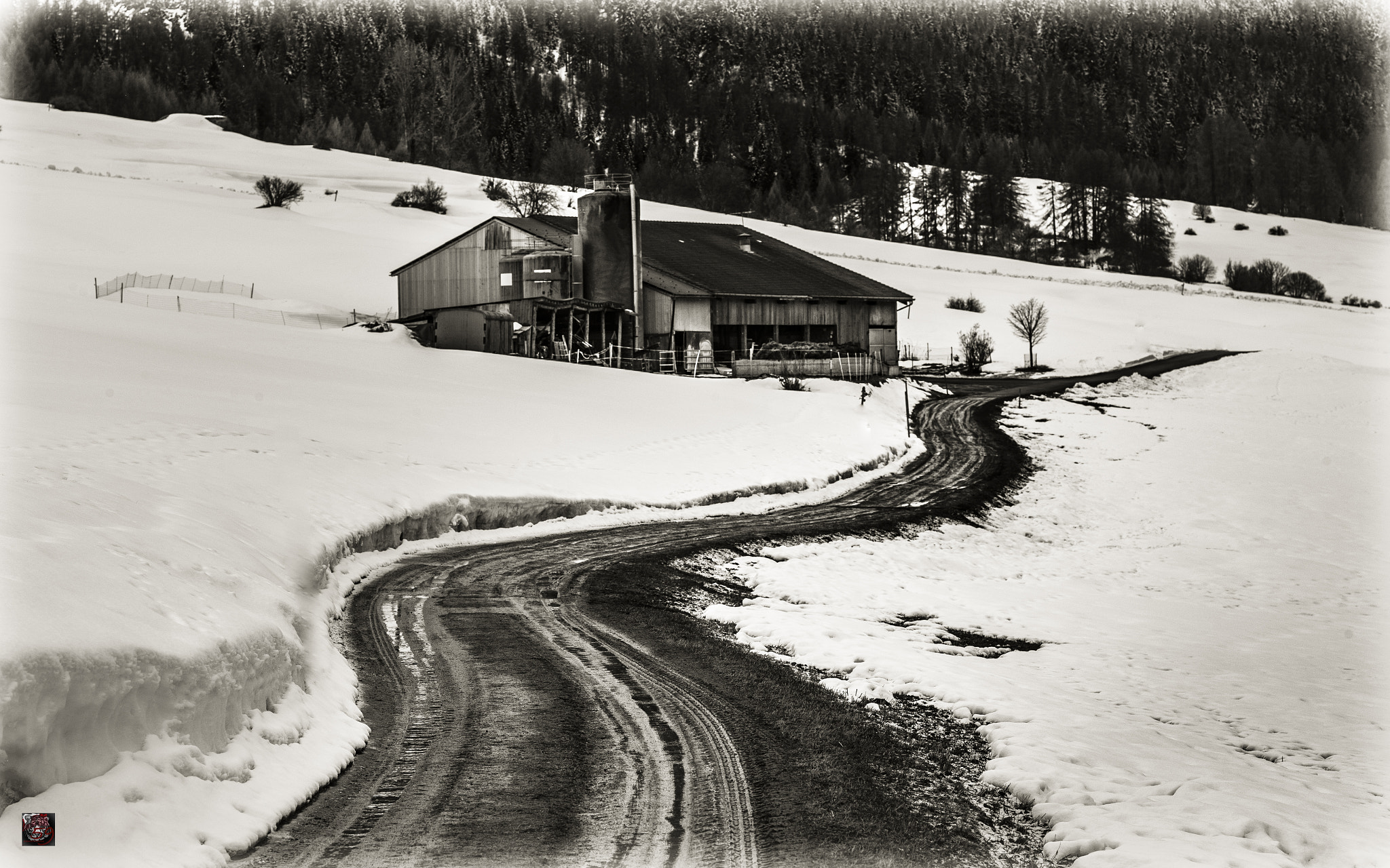 Leica APO-Summicron-M 90mm F2 ASPH sample photo. Val müstair: walking through the valley - alpine farming 1 (3) photography