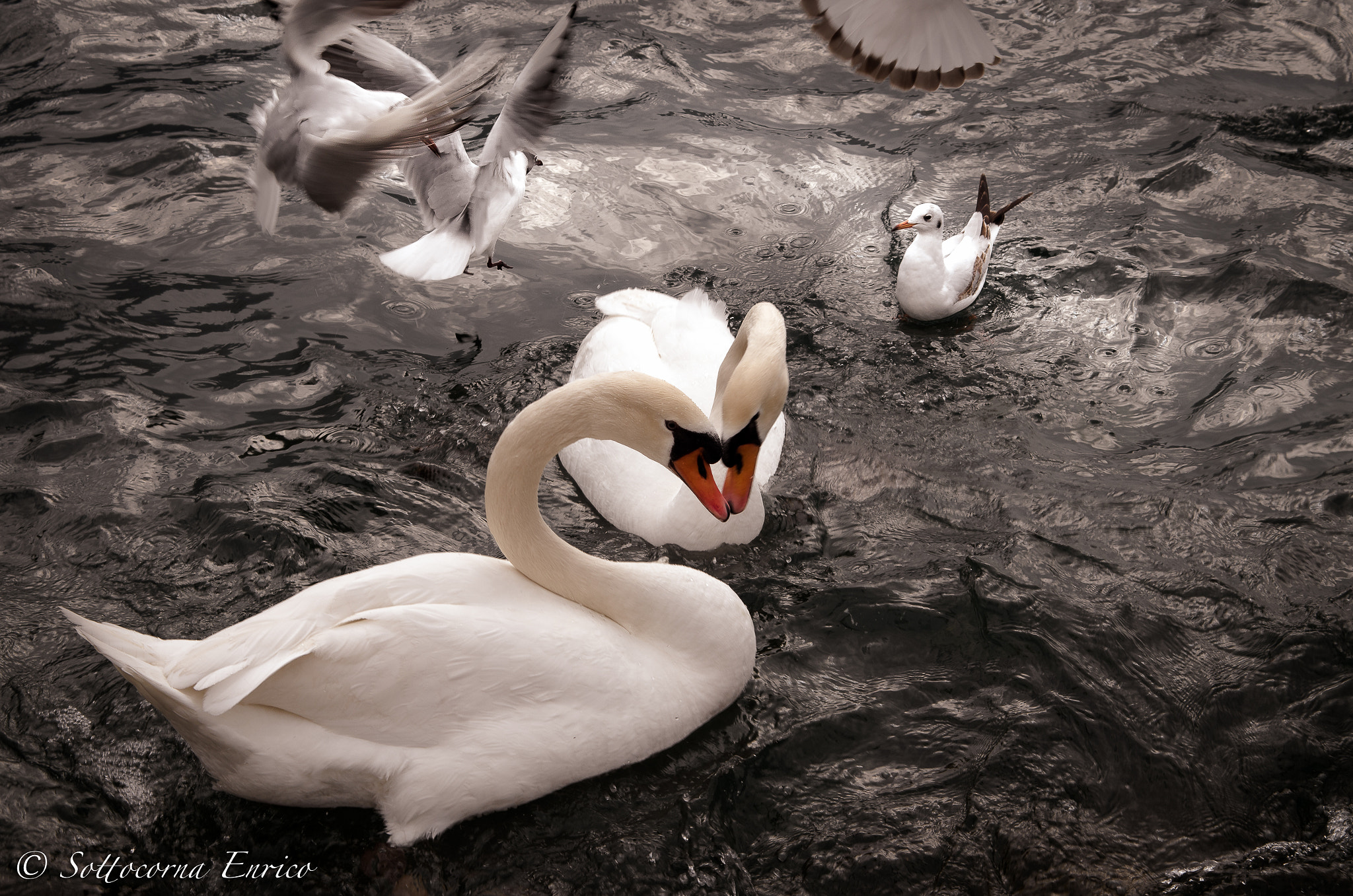 Pentax K-50 + Sigma sample photo. My lake photography
