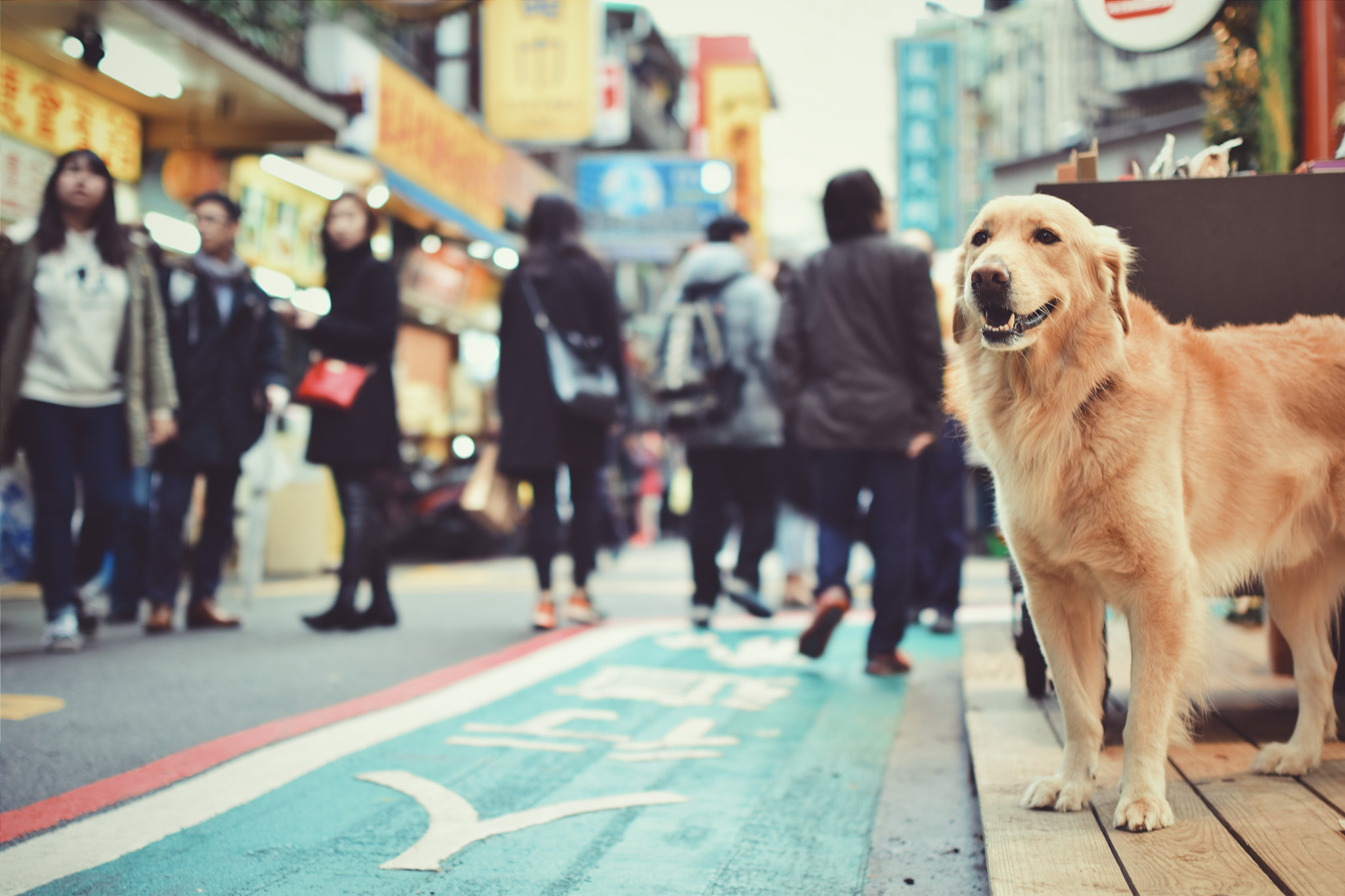 Nikon D5300 + Sigma 35mm F1.4 DG HSM Art sample photo. 等 photography