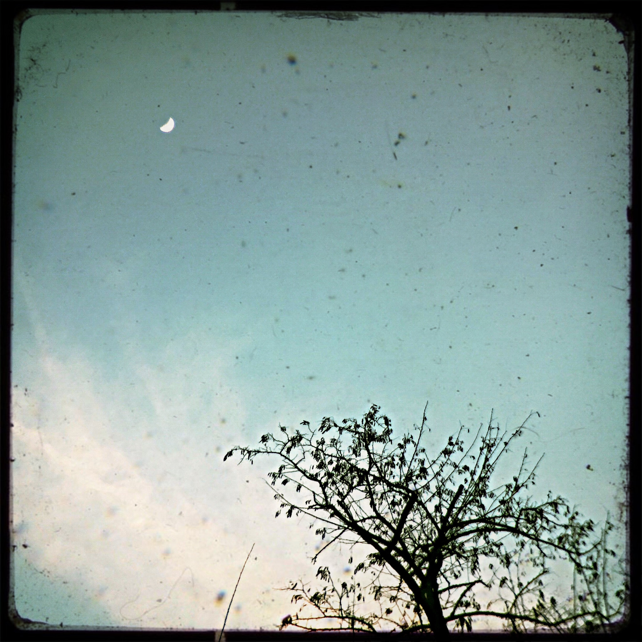 Hipstamatic 311 sample photo. Ich will nicht.... photography
