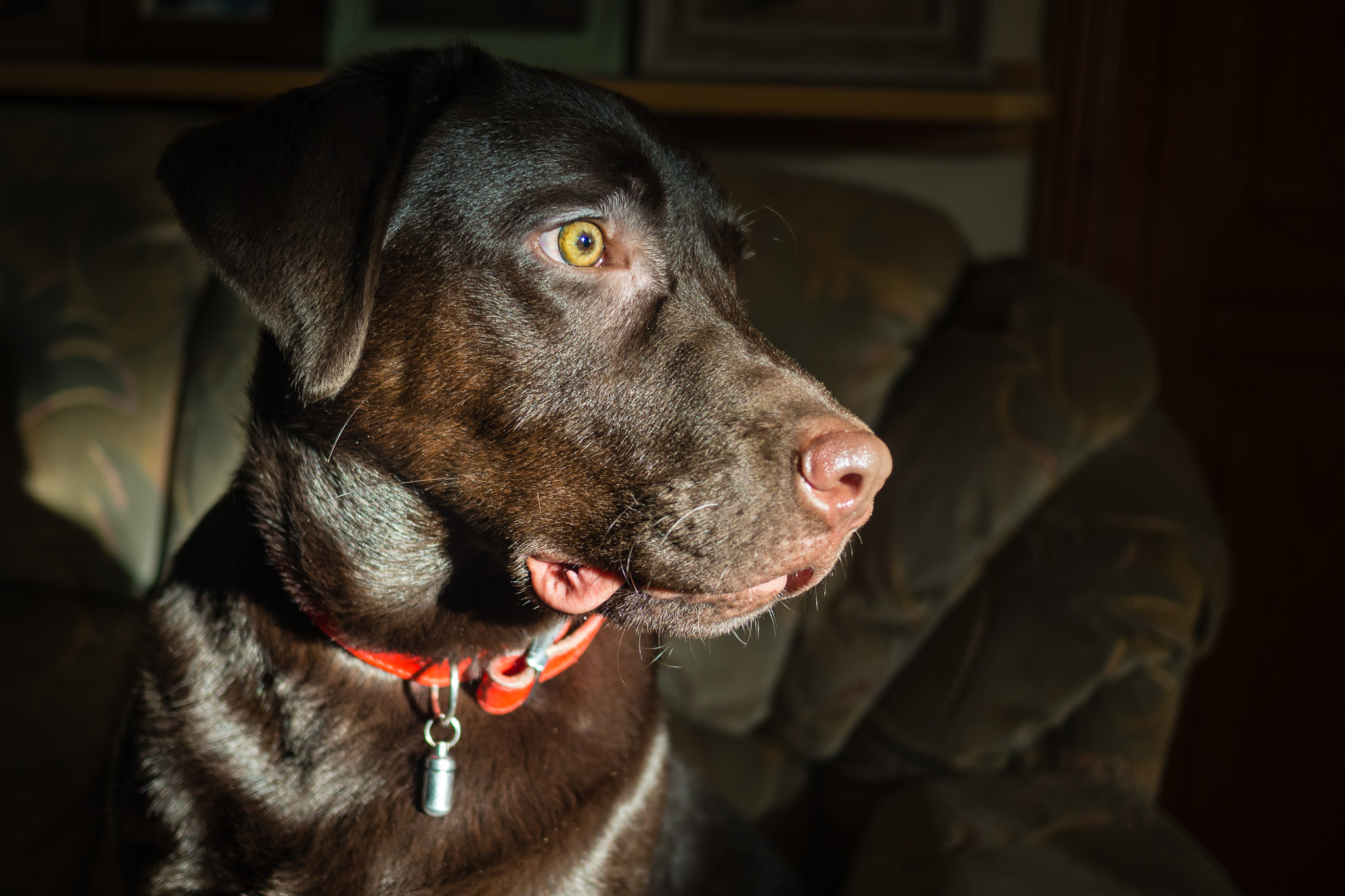 Olympus OM-D E-M10 II + Panasonic Lumix G 20mm F1.7 ASPH sample photo. Sunlit hank photography