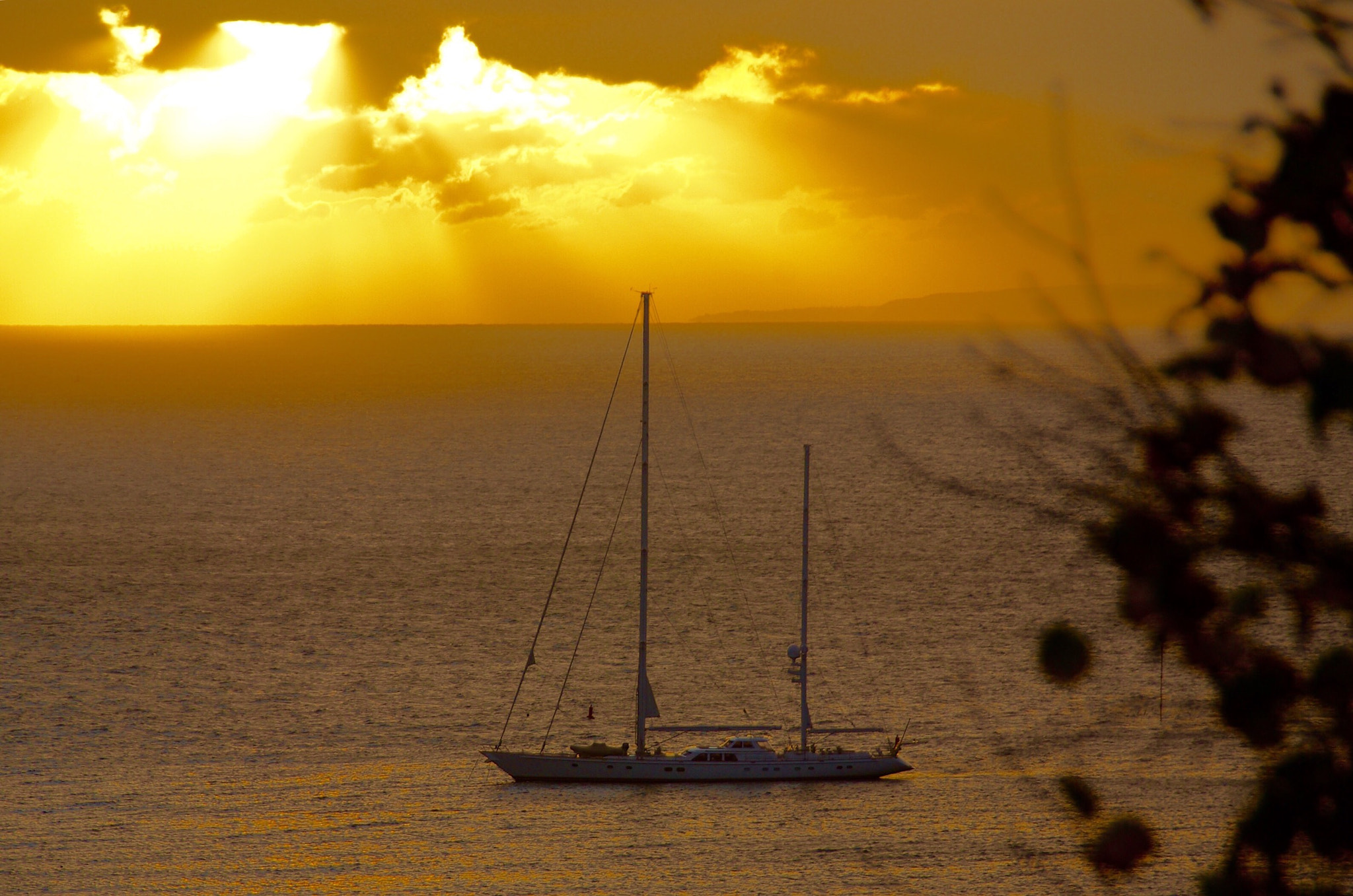 Pentax K10D sample photo. Pure gold photography