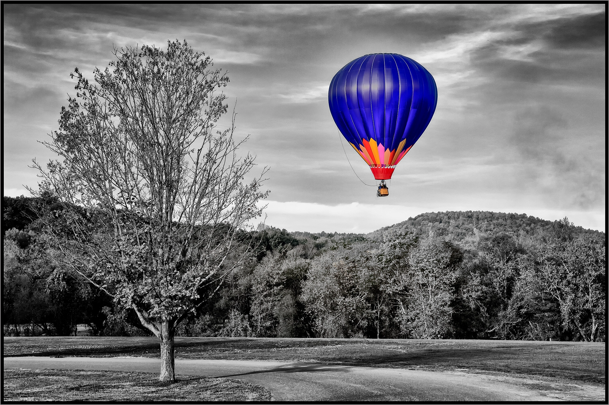 Nikon D2Xs sample photo. Up up and away photography