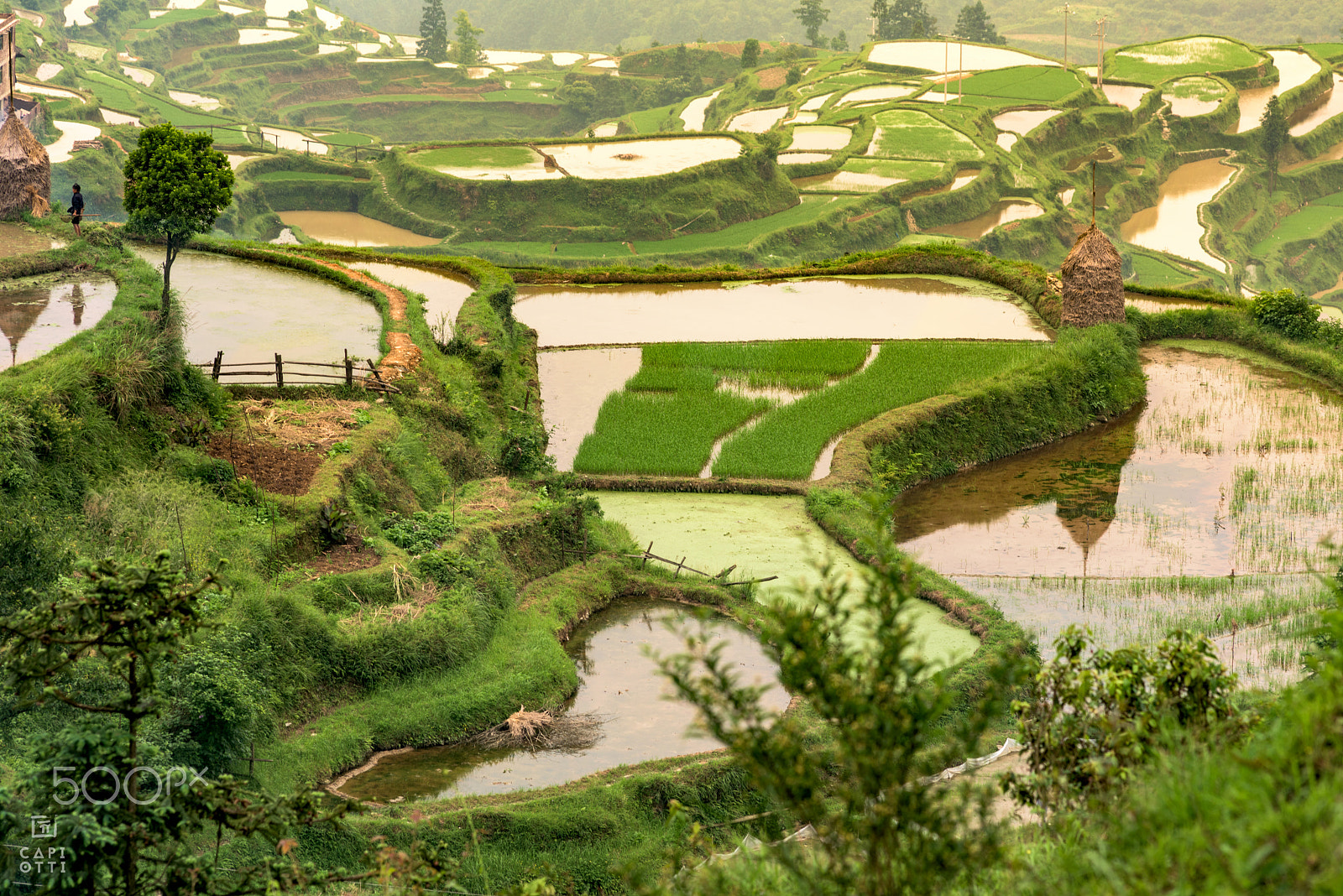 AF Nikkor 180mm f/2.8 IF-ED sample photo. Guizhou photography