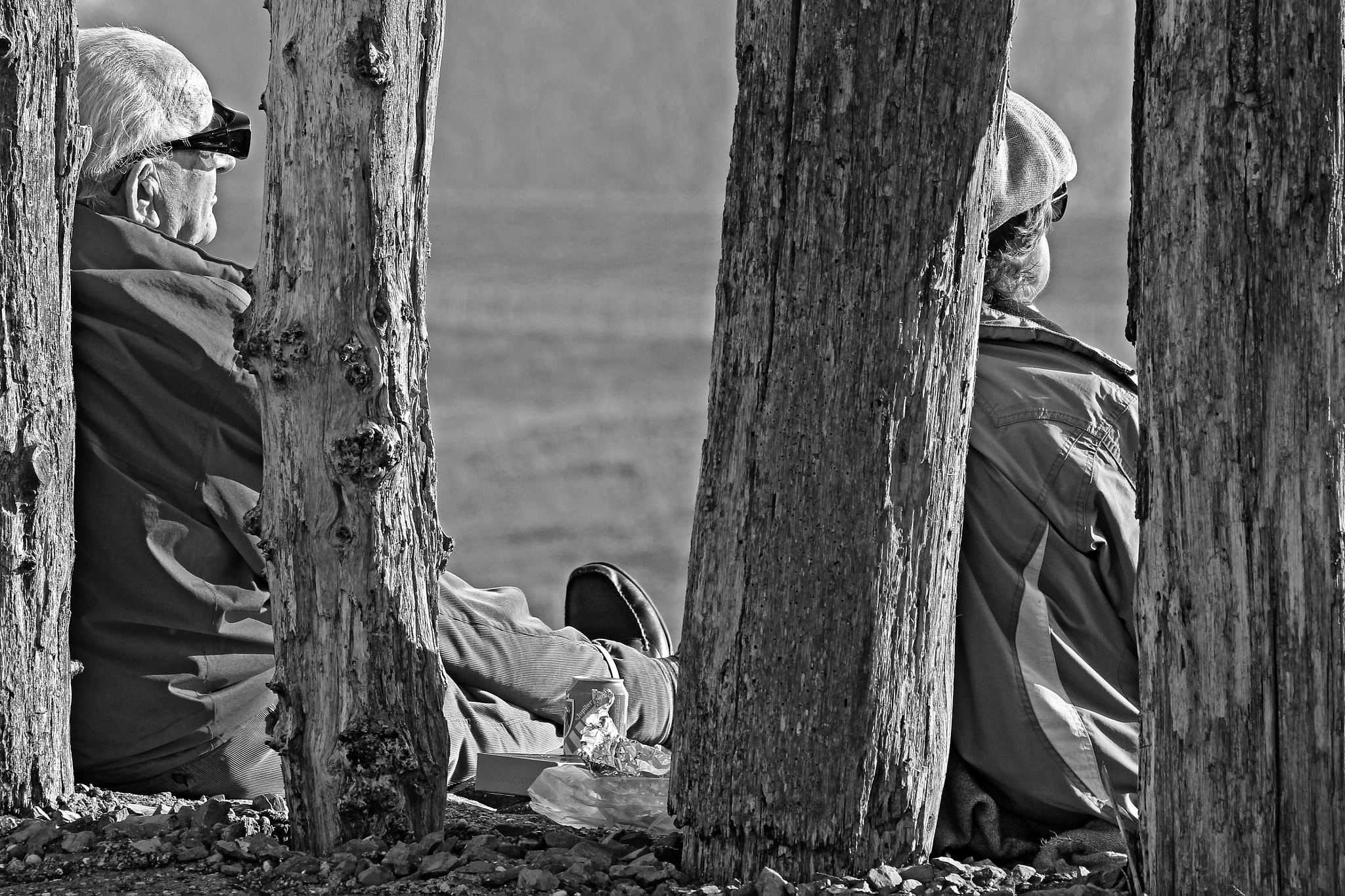 Sigma 150-600mm F5-6.3 DG OS HSM | C sample photo. Genieten photography