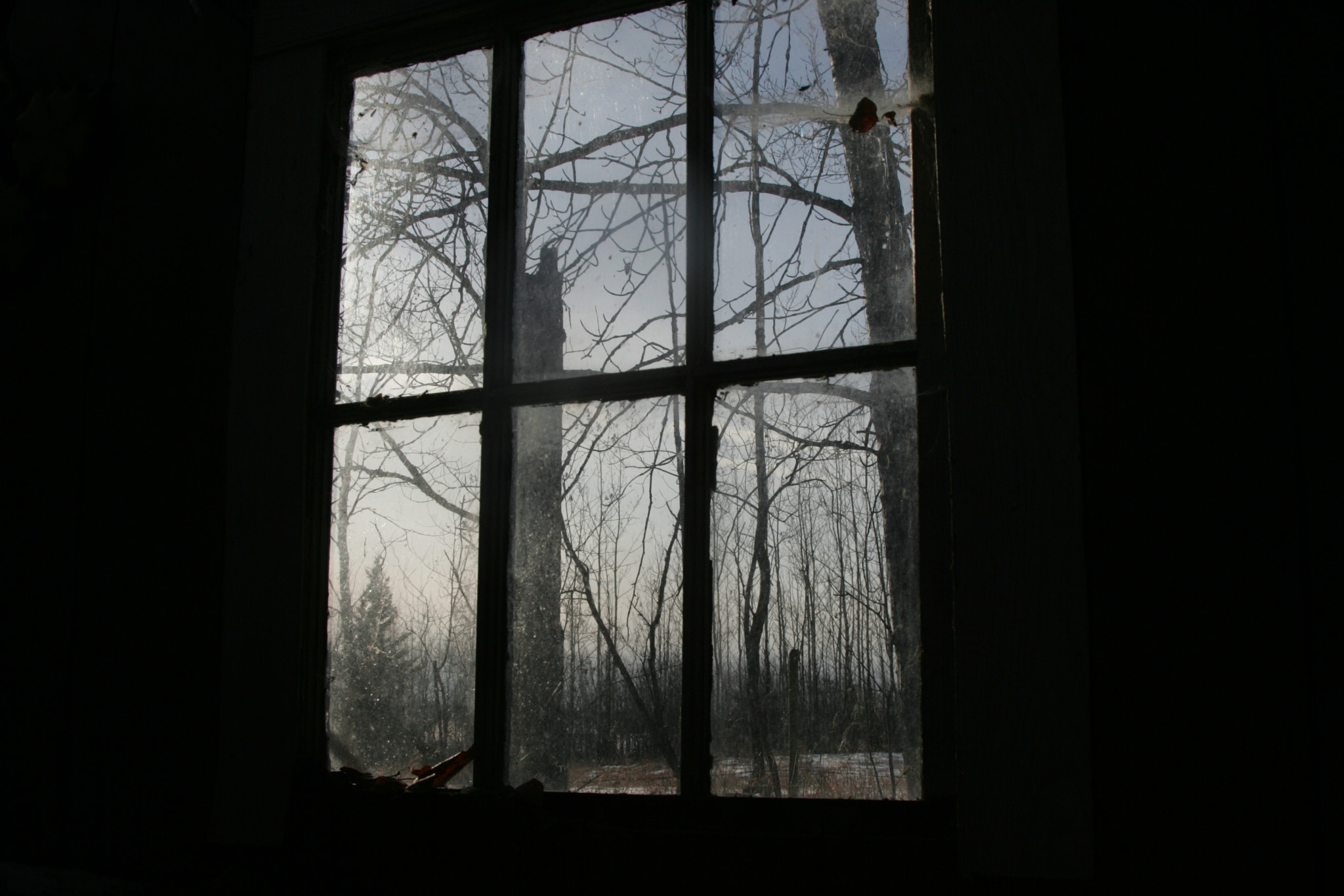 Canon EF 35-135mm f/4-5.6 USM sample photo. Window photography