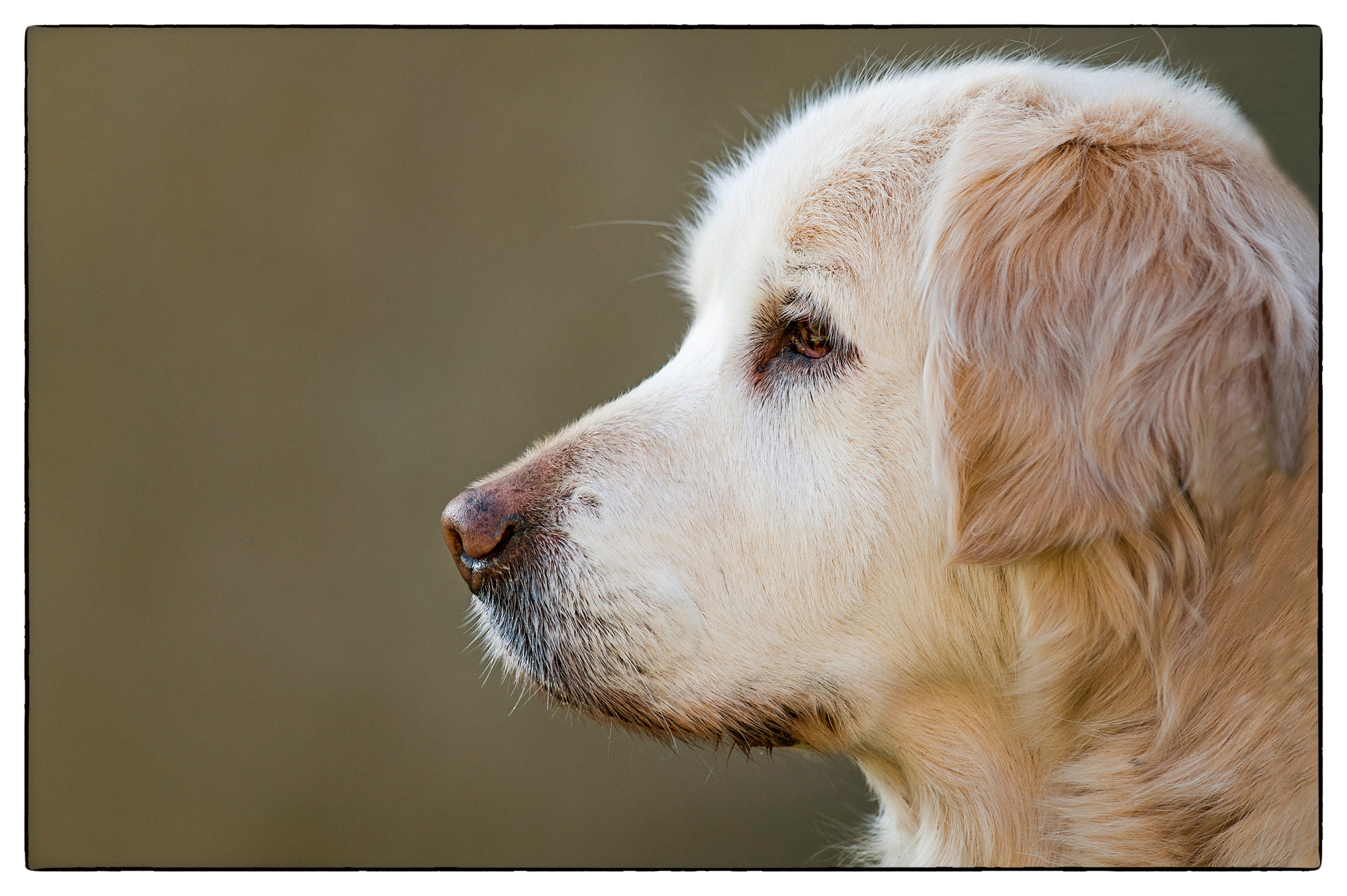 Nikon D700 + Nikon AF-S Nikkor 300mm F4D ED-IF sample photo. Ranka photography