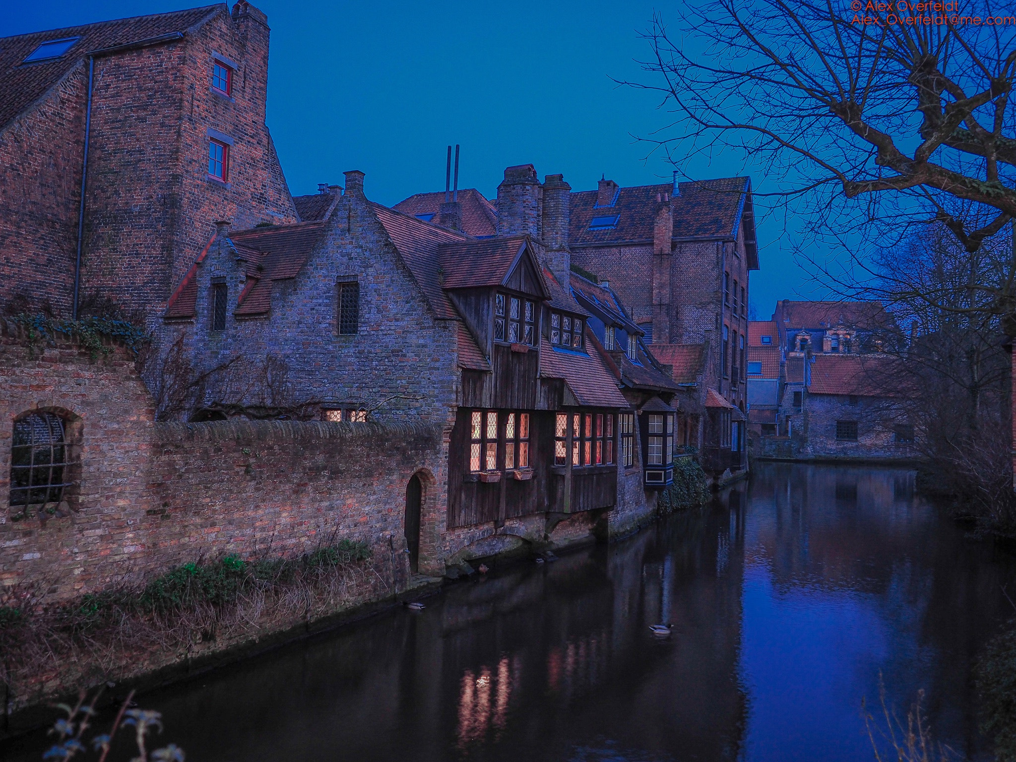 Olympus OM-D E-M10 II + Olympus M.Zuiko Digital ED 7-14mm F2.8 PRO sample photo. Bruges : alonside a canal at the blue hour photography
