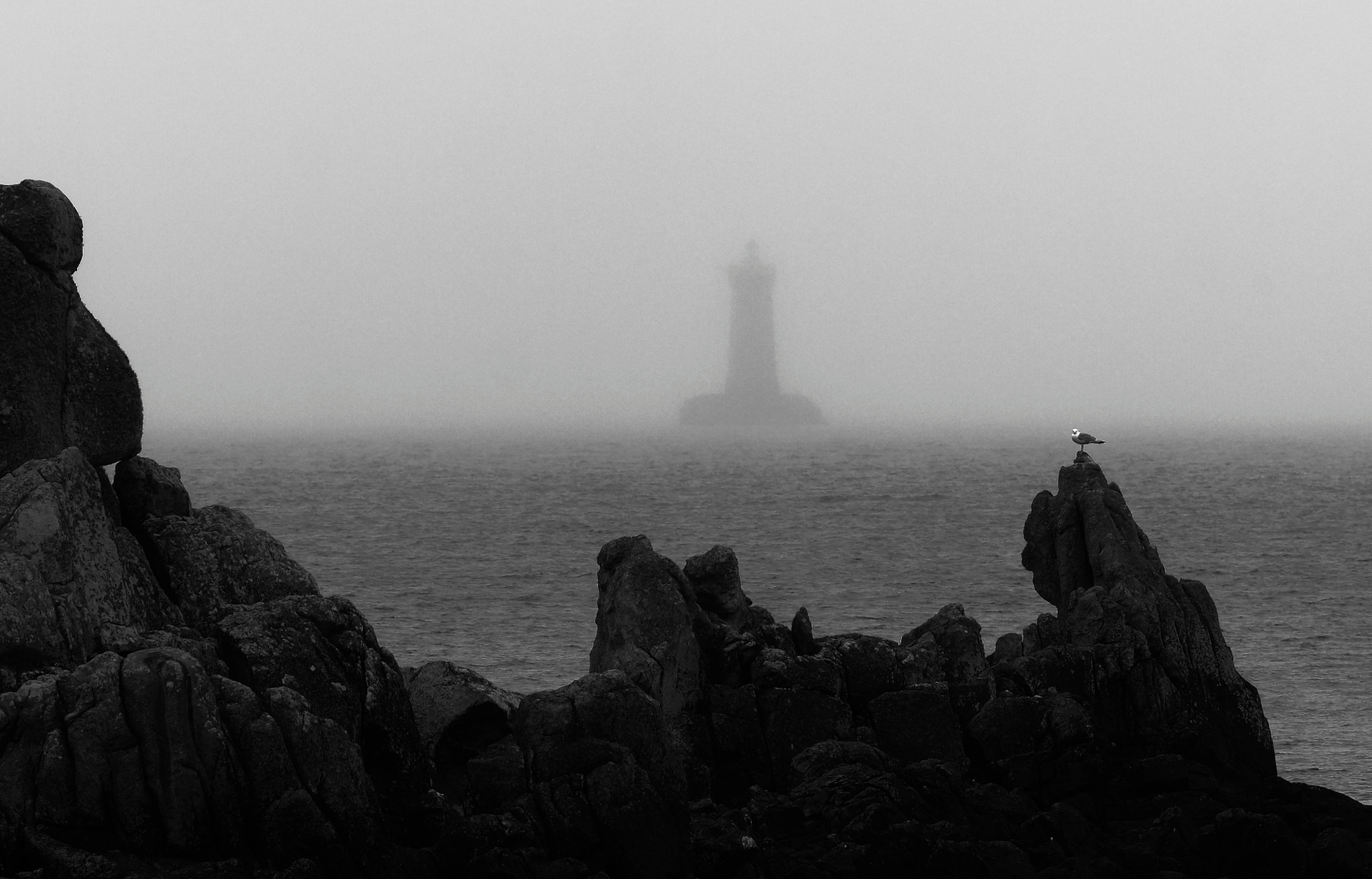 Canon EF 70-200mm F4L IS USM sample photo. Seagull and light house photography