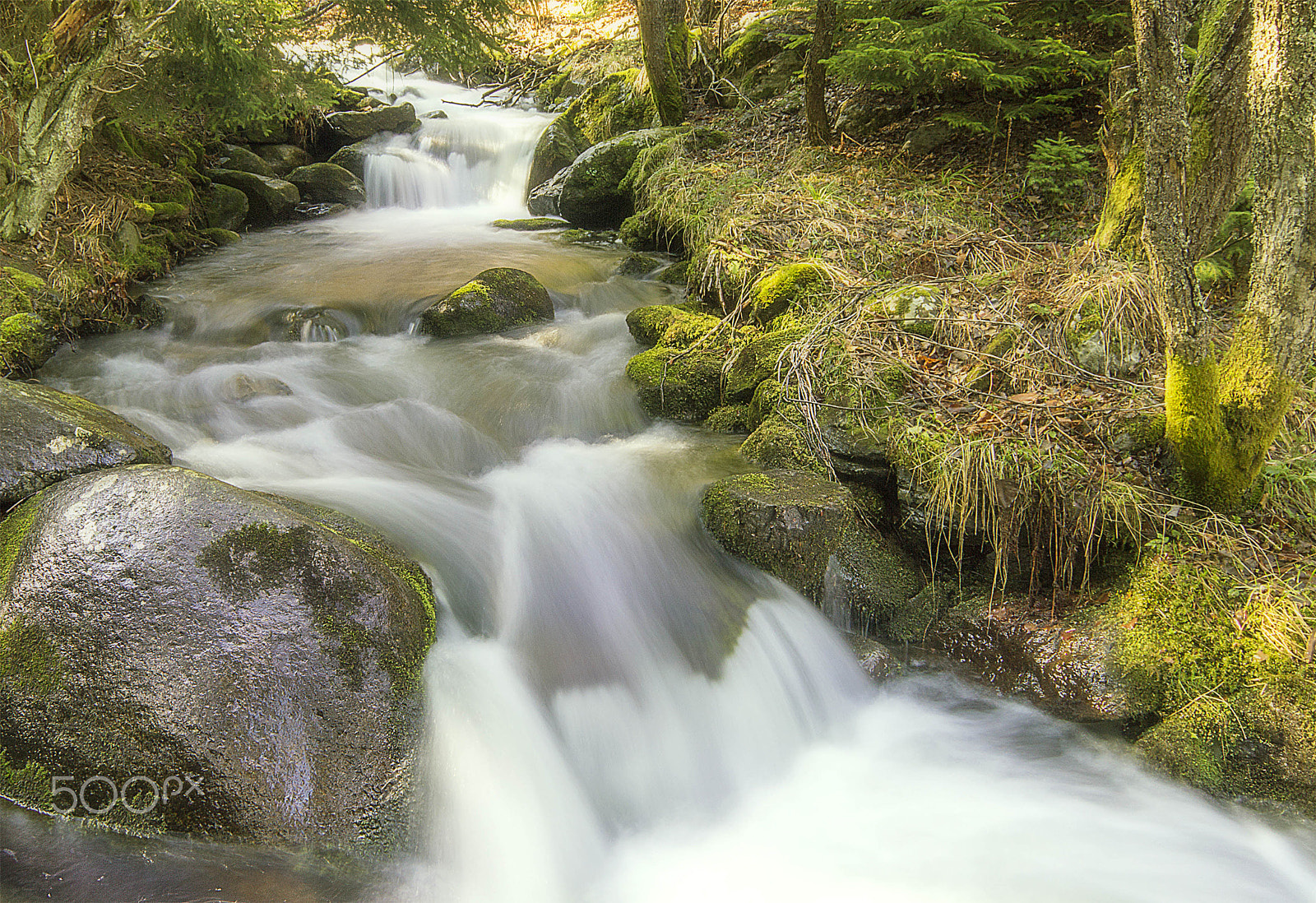 Canon EOS 600D (Rebel EOS T3i / EOS Kiss X5) + Sigma 18-50mm f/2.8 Macro sample photo. Bistrica river on vitosha mountain. photography