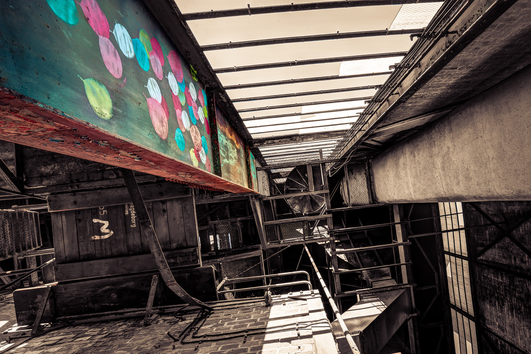Sony a7 II + Canon EF 16-35mm F4L IS USM sample photo. Let your hope fly... photography