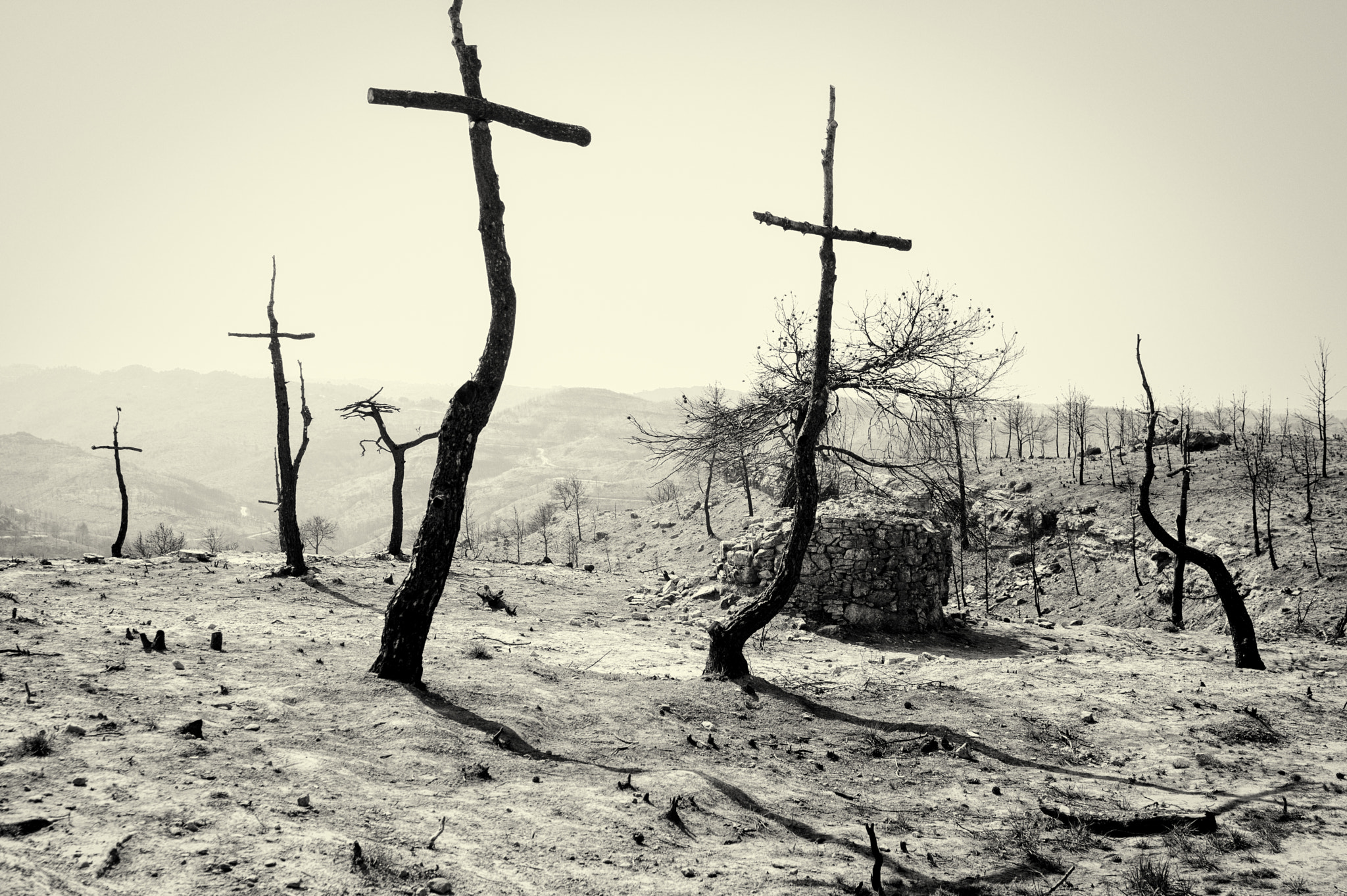 Pentax K-3 sample photo. Crosses in the forest photography