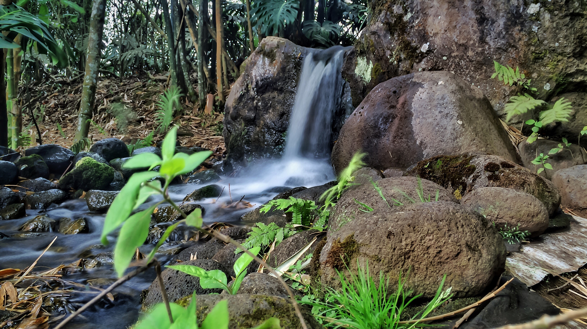 Apple iPhone + iPhone 5s back camera 4.15mm f/2.2 sample photo. Experimenting with long exposure ... photography