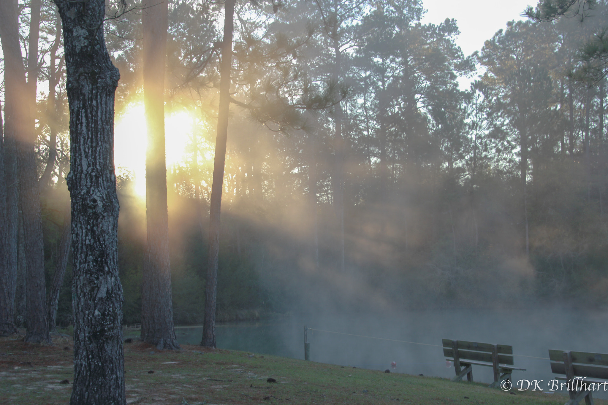 Canon EOS 550D (EOS Rebel T2i / EOS Kiss X4) sample photo. Morning mist.jpg photography