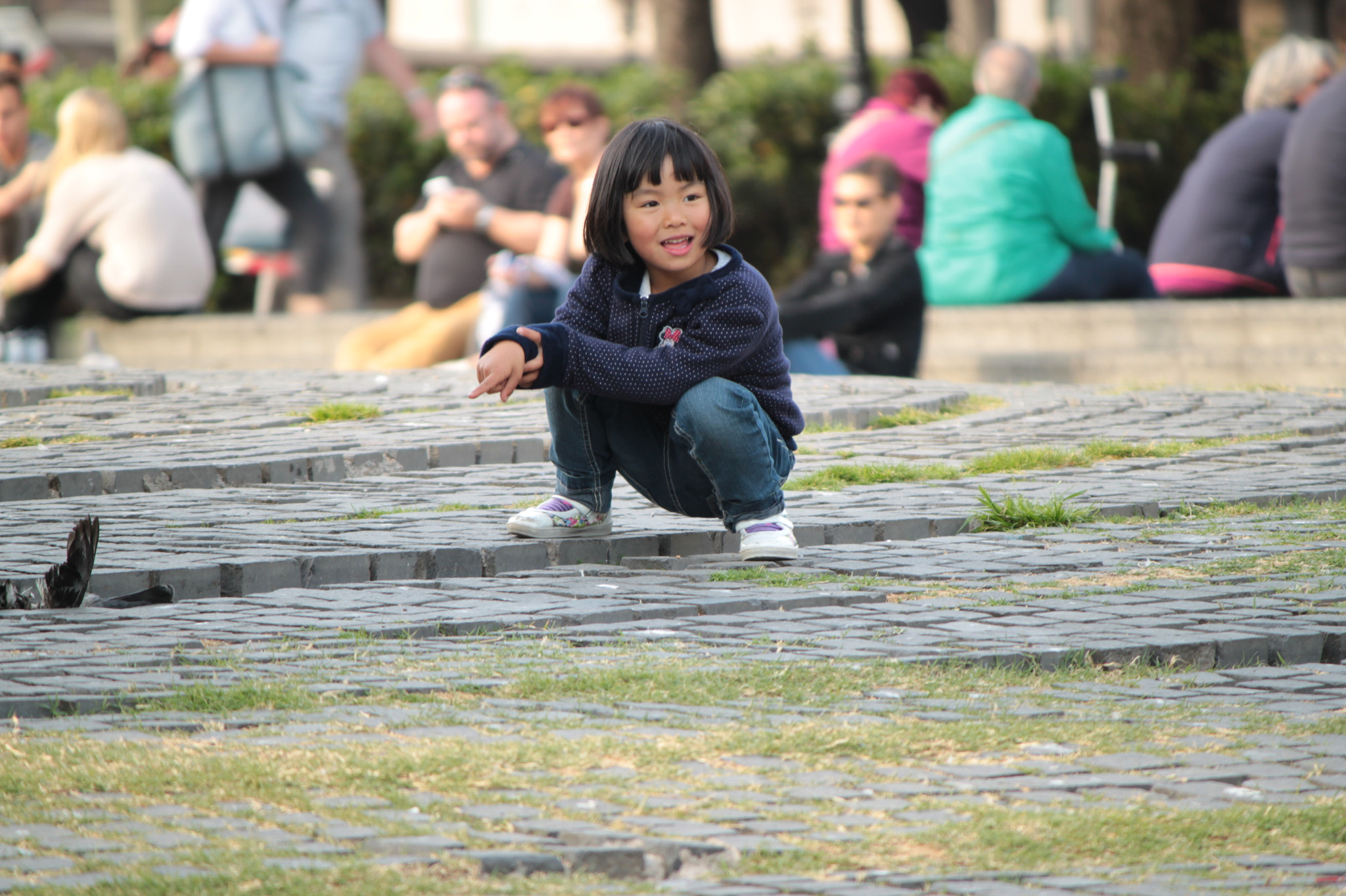 Canon EOS 500D (EOS Rebel T1i / EOS Kiss X3) sample photo. Pigeons photography