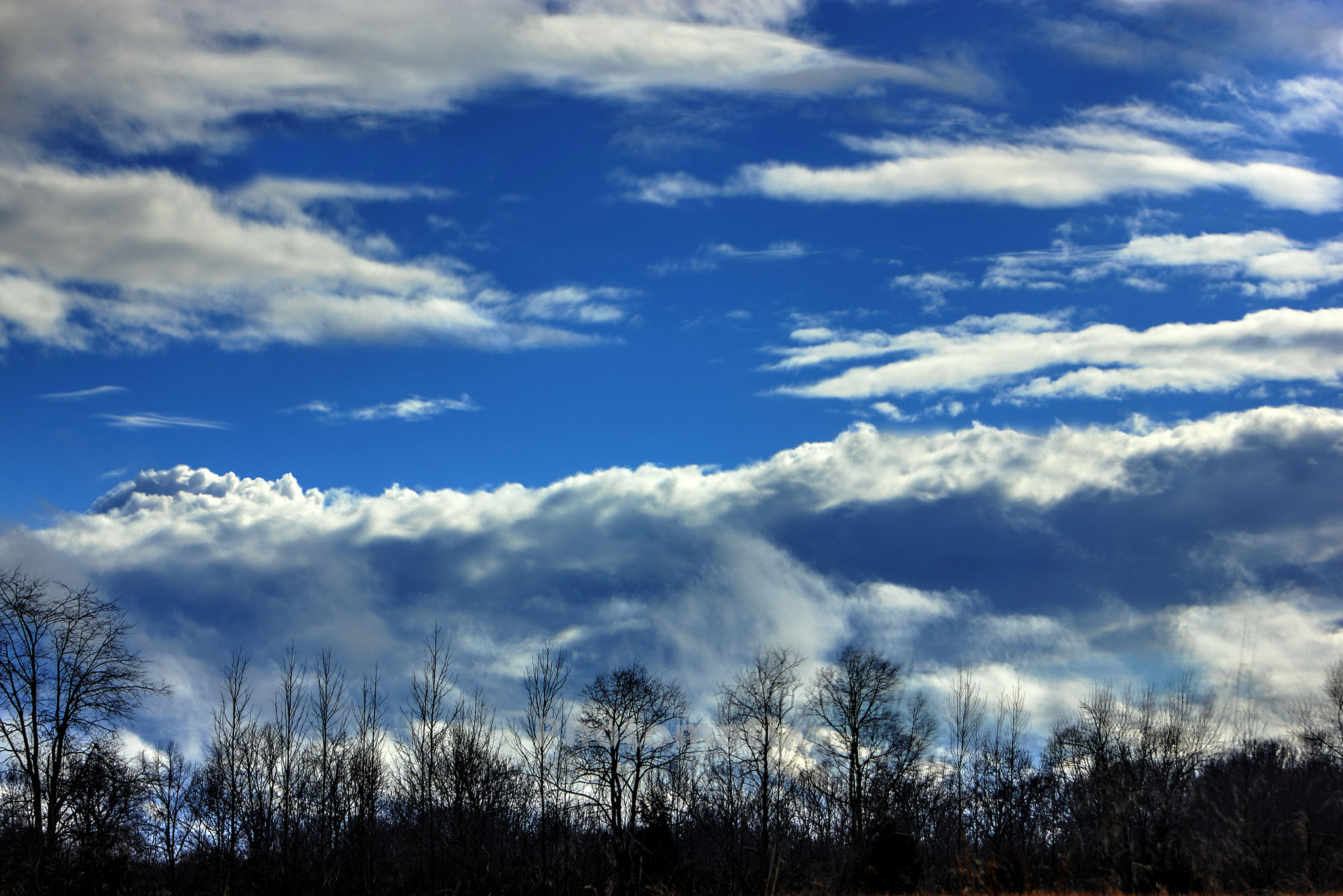 Canon EF 35-80mm F4.0-5.6 III sample photo. Amazingly amazing photography