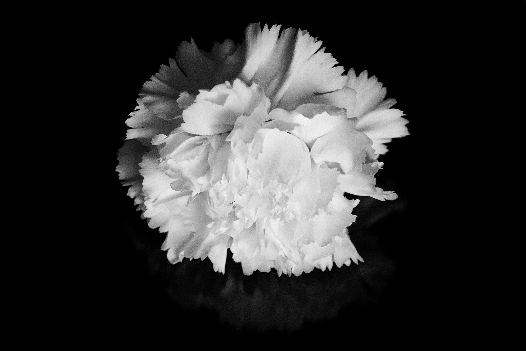 Canon EF-S 55-250mm F4-5.6 IS sample photo. B&w photography