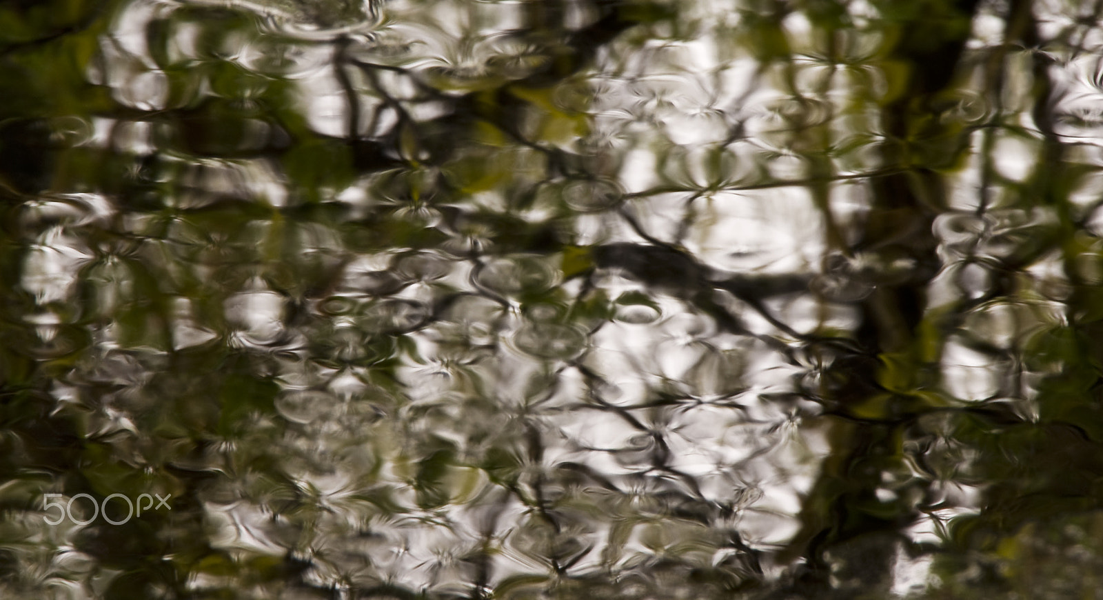 Sony SLT-A55 (SLT-A55V) sample photo. Reflections in rain drops photography