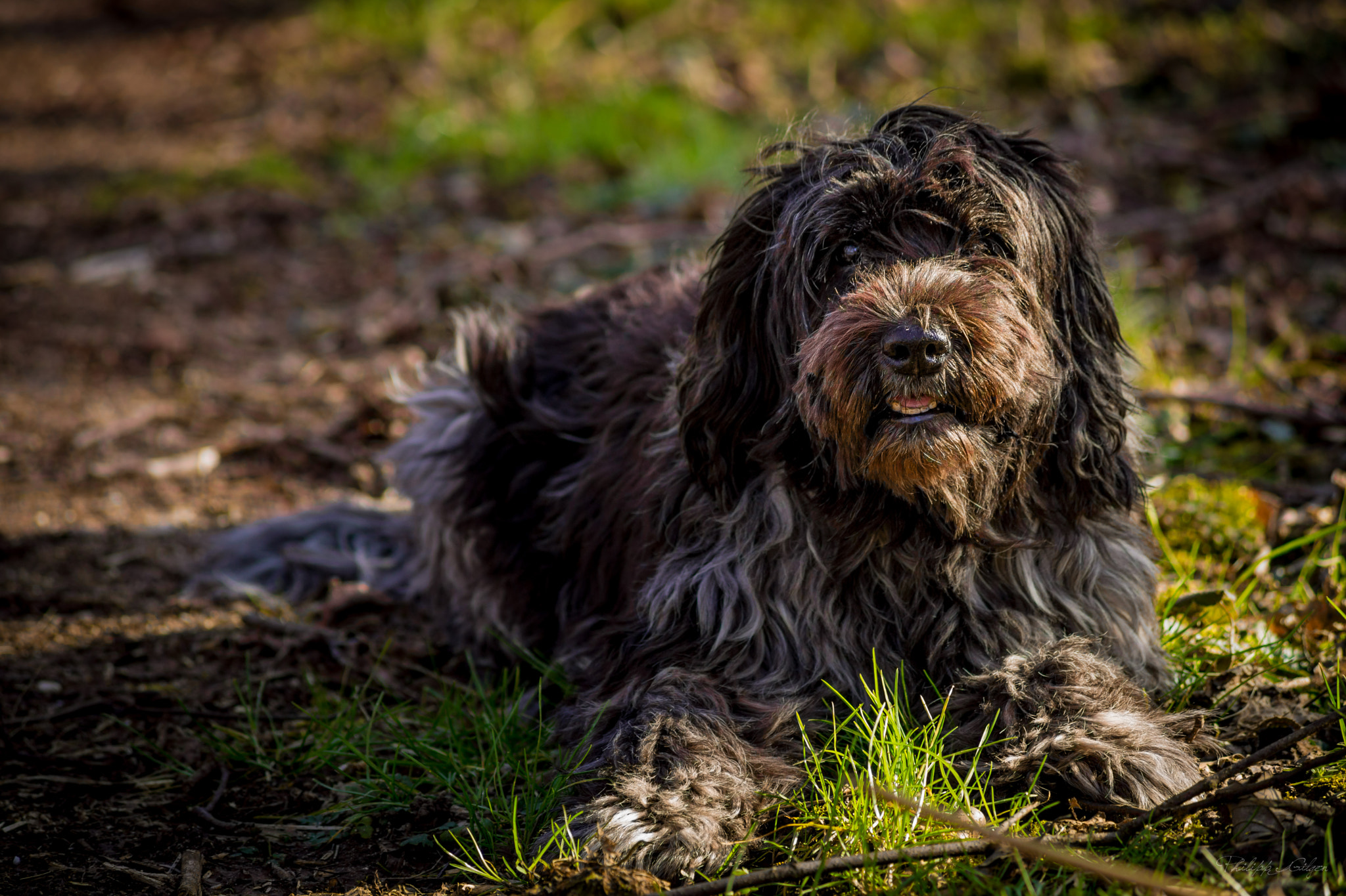 Sony Alpha DSLR-A850 + Minolta AF 70-210mm F4 Macro sample photo. Resting photography