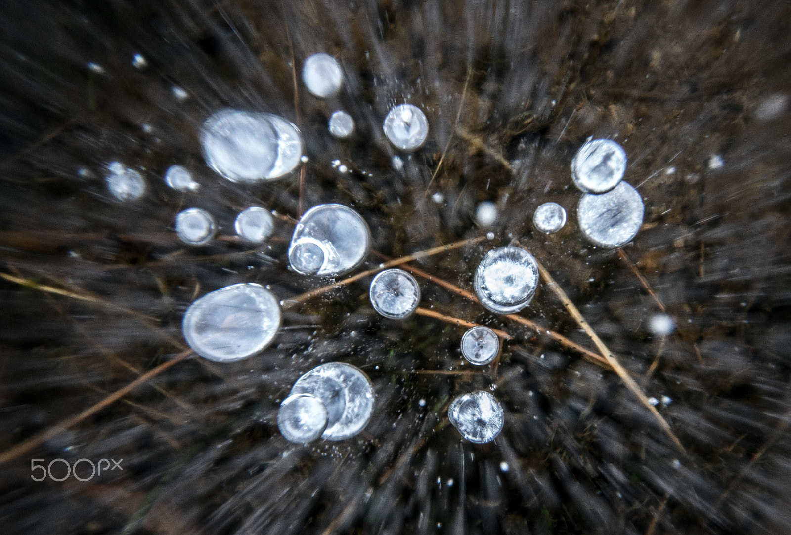 Sigma AF 10-20mm F4-5.6 EX DC sample photo. // b u b b l e s photography