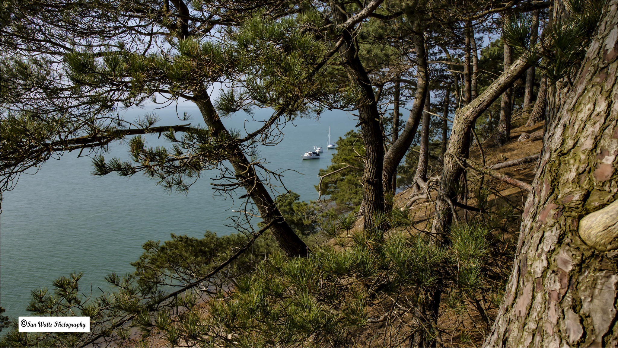 Canon EF-S 10-18mm F4.5–5.6 IS STM sample photo. Three boats at anchor off brownsea island photography