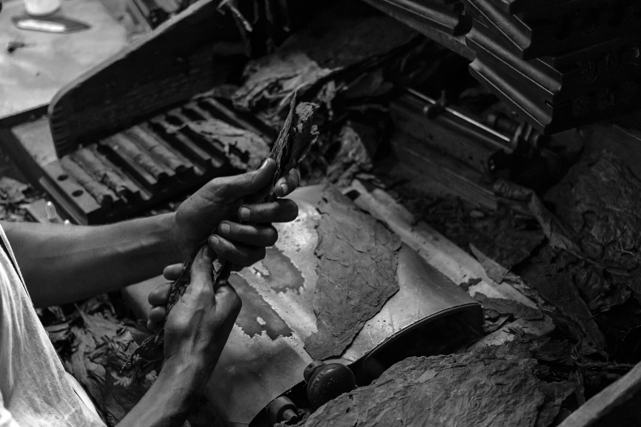 Canon EOS 760D (EOS Rebel T6s / EOS 8000D) sample photo. Tobacco hands 2 photography
