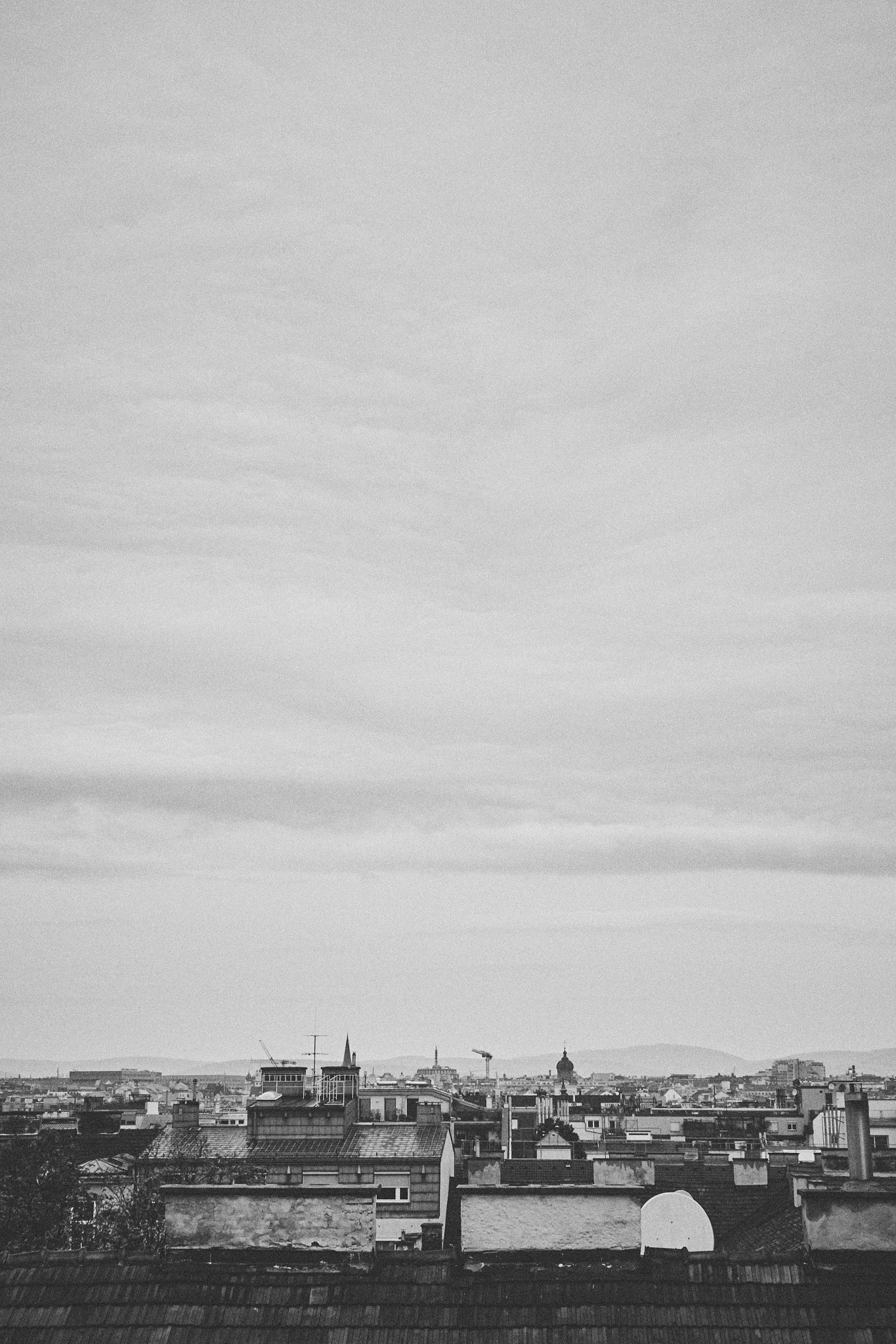 ZEISS Touit 32mm F1.8 sample photo. Roofs of vienna photography